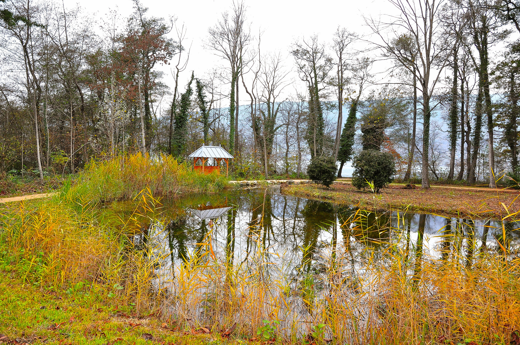 Nikon D5000 sample photo. Pond photography