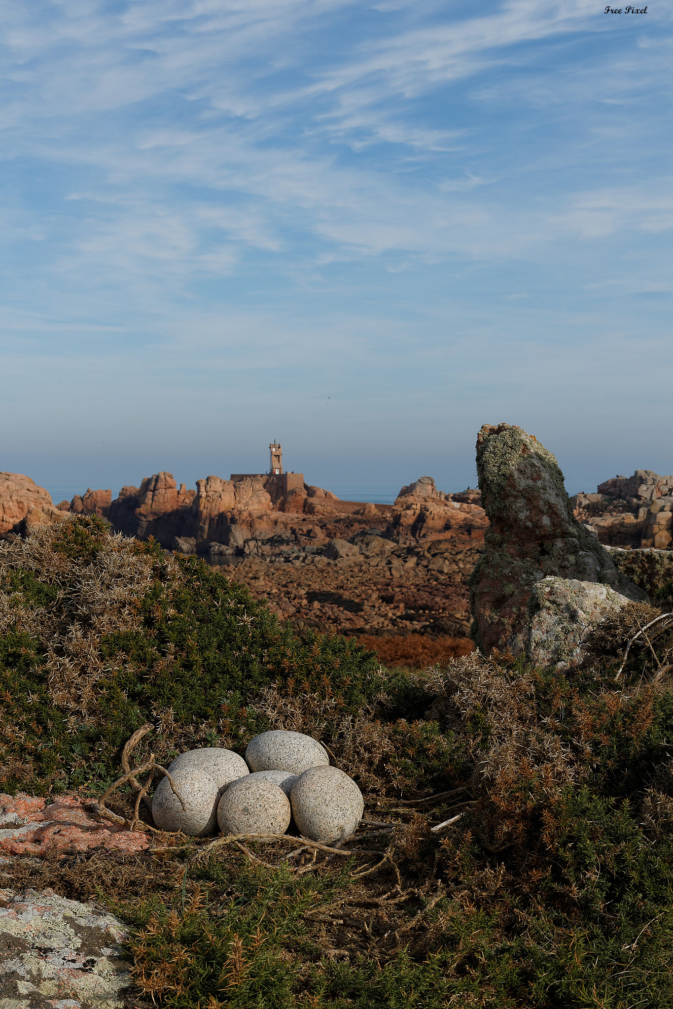 Canon EOS 550D (EOS Rebel T2i / EOS Kiss X4) sample photo. Des dinosaures sur brehat ? photography