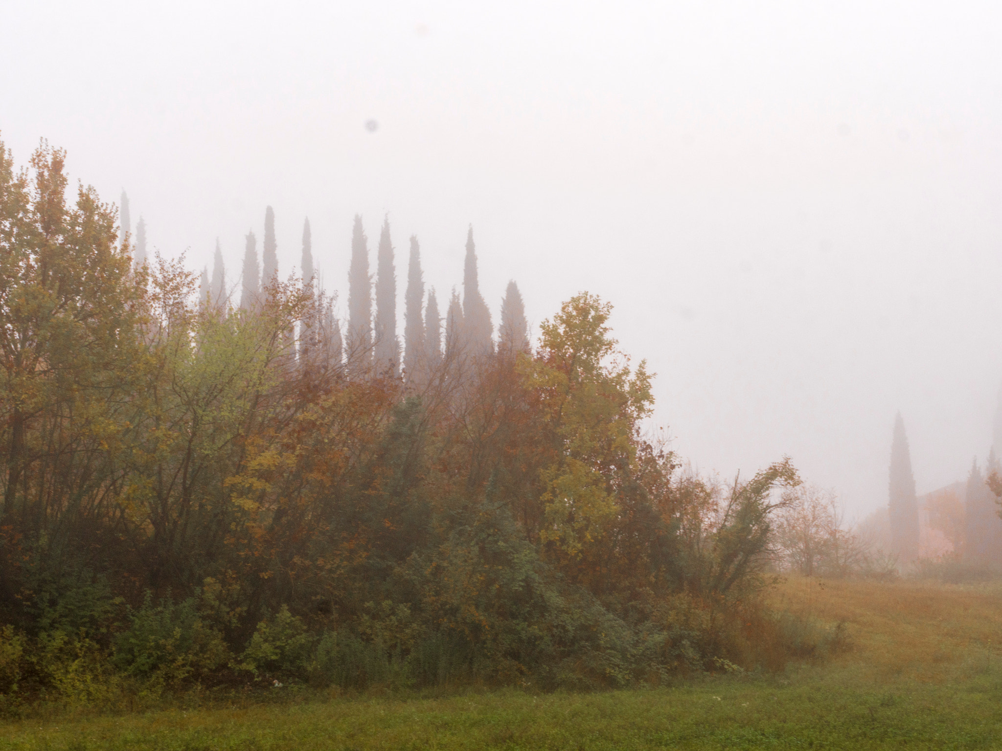 Olympus OM-D E-M10 sample photo. La nebbia sale e stagna photography