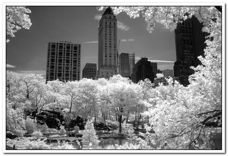 Fujifilm FinePix S2 Pro sample photo. New york ir photography