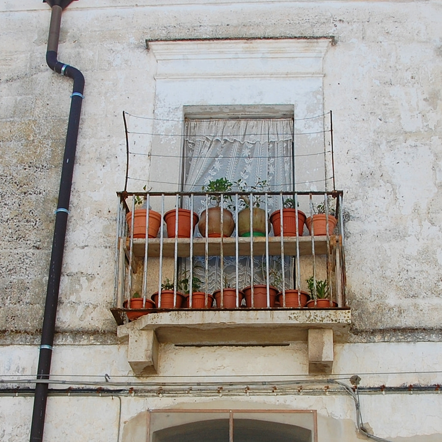 Nikon D40 sample photo. Pollice verde photography