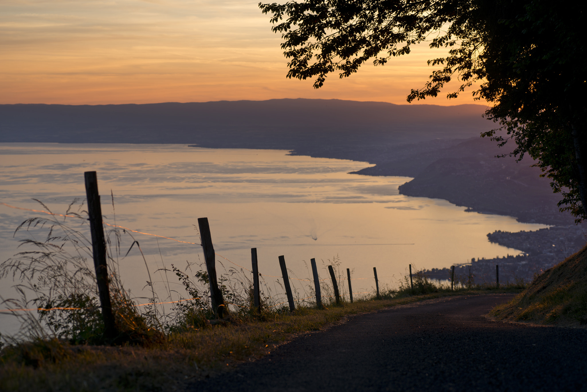 Nikon D800 sample photo. Down to the lake photography