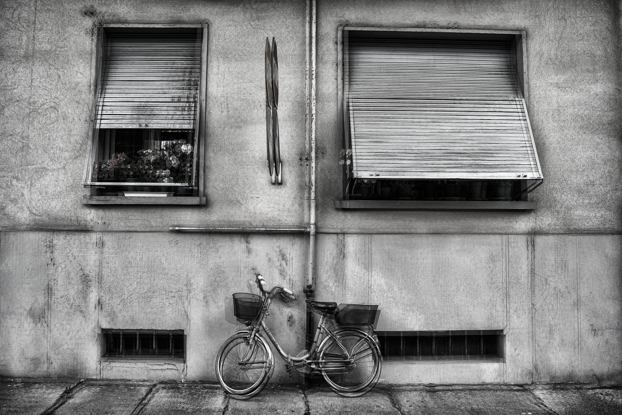Nikon D750 + Nikon AF Nikkor 35mm F2D sample photo. A bicycle photography