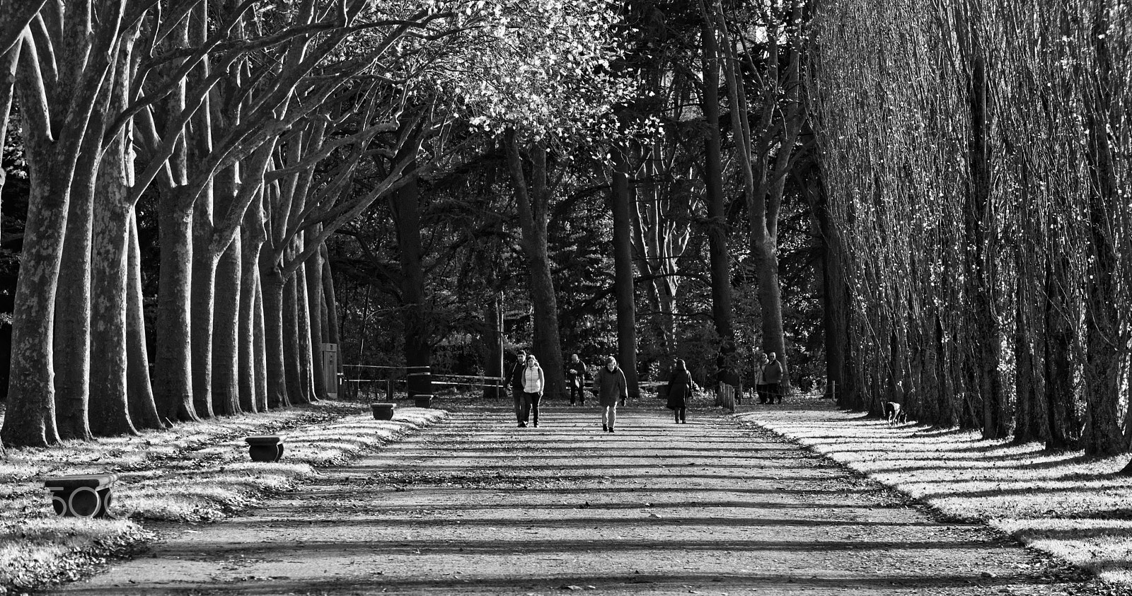 AF-S Zoom-Nikkor 80-200mm f/2.8D IF-ED sample photo. Prommenade dans le parc. photography