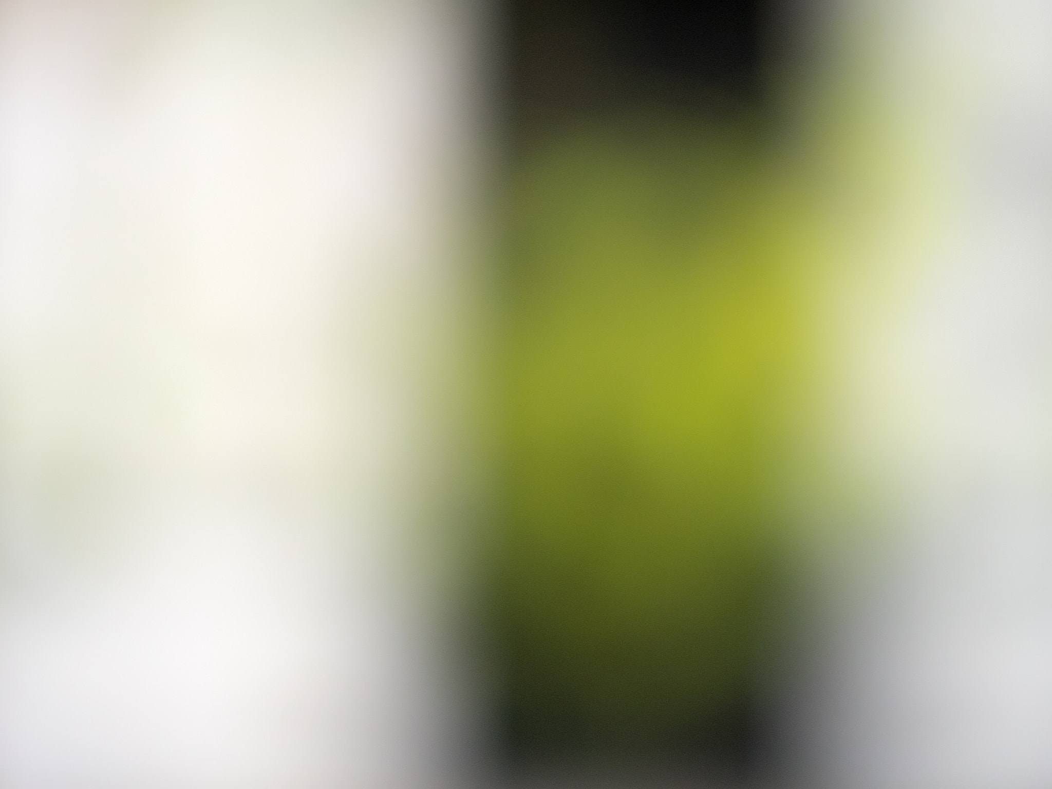 Panasonic Lumix G Vario 45-200mm F4-5.6 OIS sample photo. Abstact photography