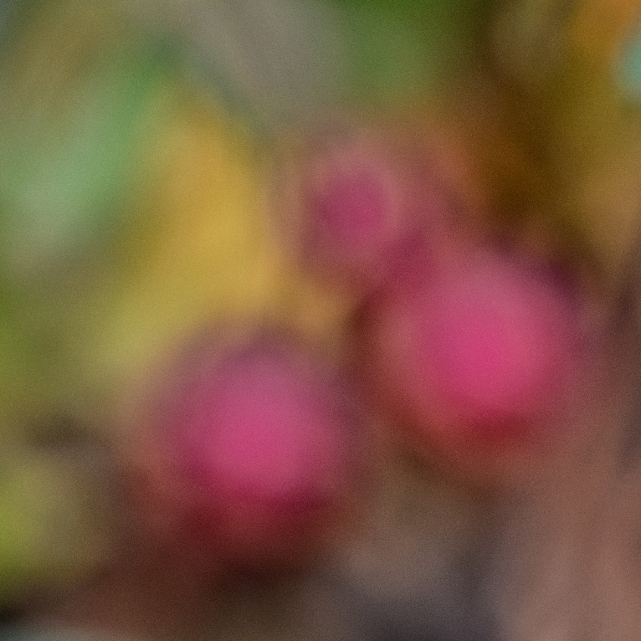 Panasonic Lumix G Vario 45-200mm F4-5.6 OIS sample photo. Autumn abstract photography