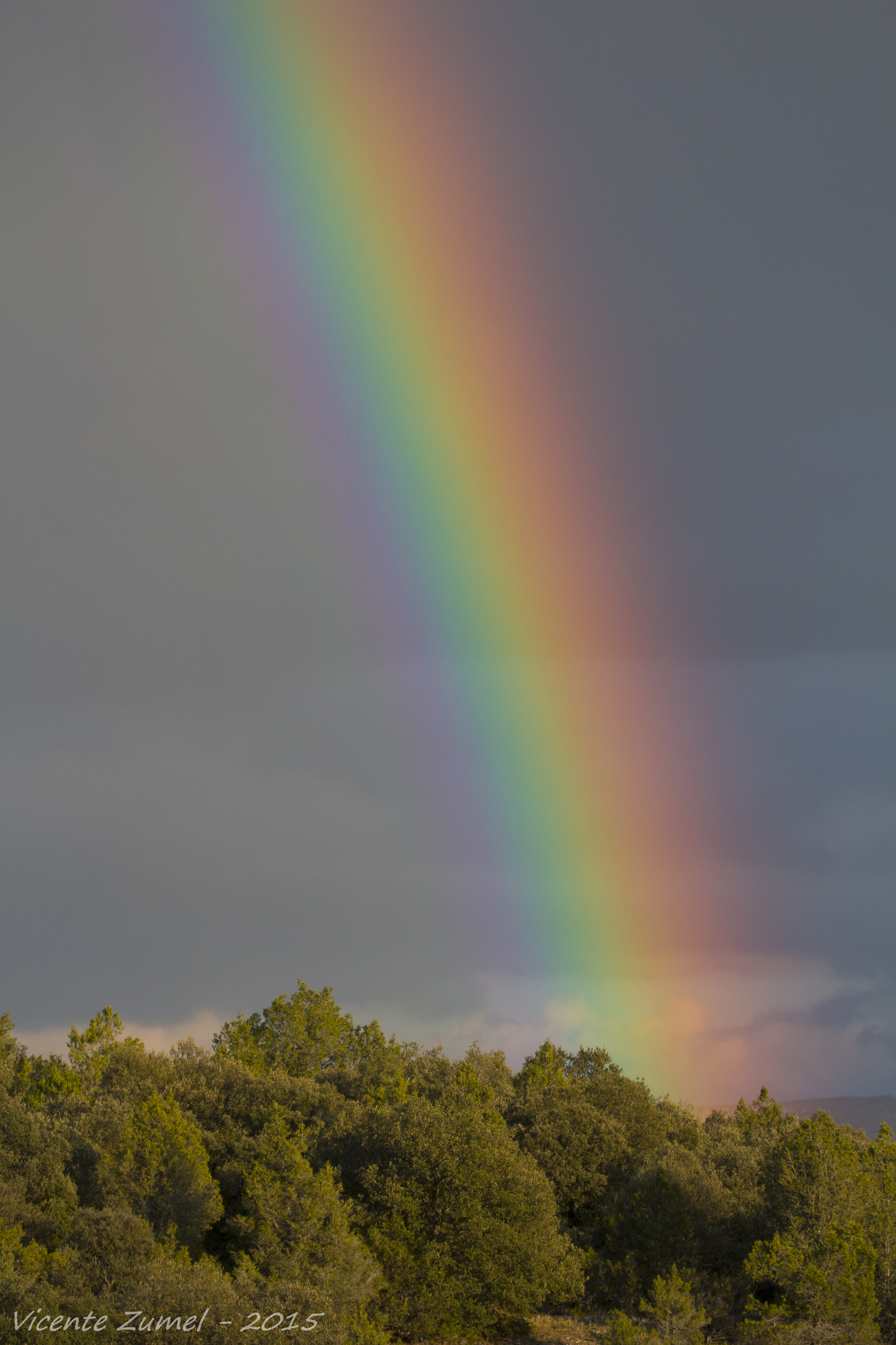 Canon EOS 700D (EOS Rebel T5i / EOS Kiss X7i) + Tamron SP 150-600mm F5-6.3 Di VC USD sample photo. Rainbow over the juniper forest photography