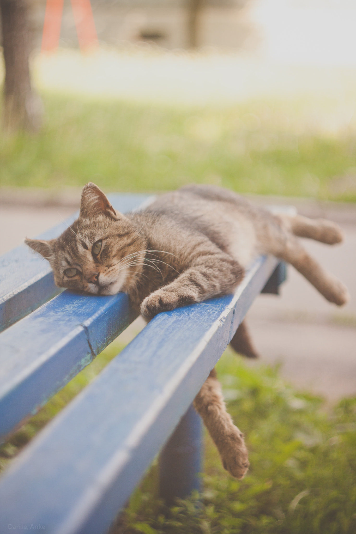 Canon EF 35-80mm f/4-5.6 sample photo. Relax time photography