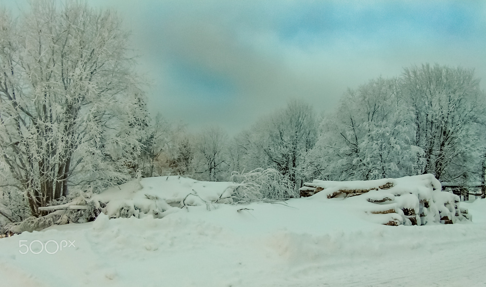CASIO EX-F1 sample photo. After the snow comes the sun photography