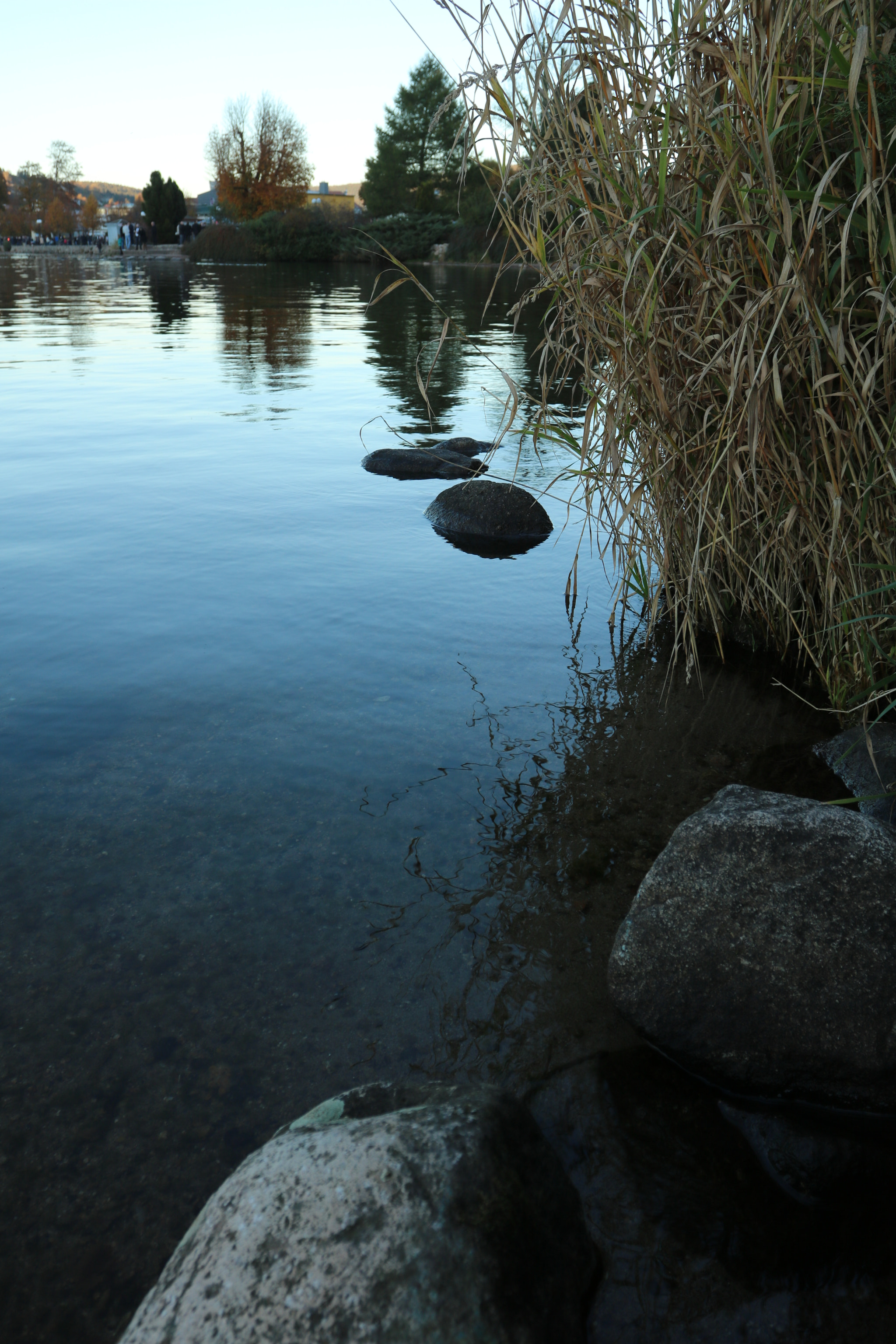 Canon EOS 760D (EOS Rebel T6s / EOS 8000D) + Canon EF 17-40mm F4L USM sample photo. Lac de gérardmer - détail photography