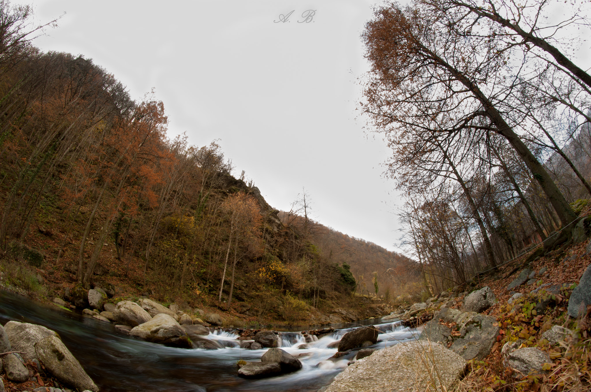 Nikon D5000 + Samyang 8mm F3.5 Aspherical IF MC Fisheye sample photo. Seta autunnale photography