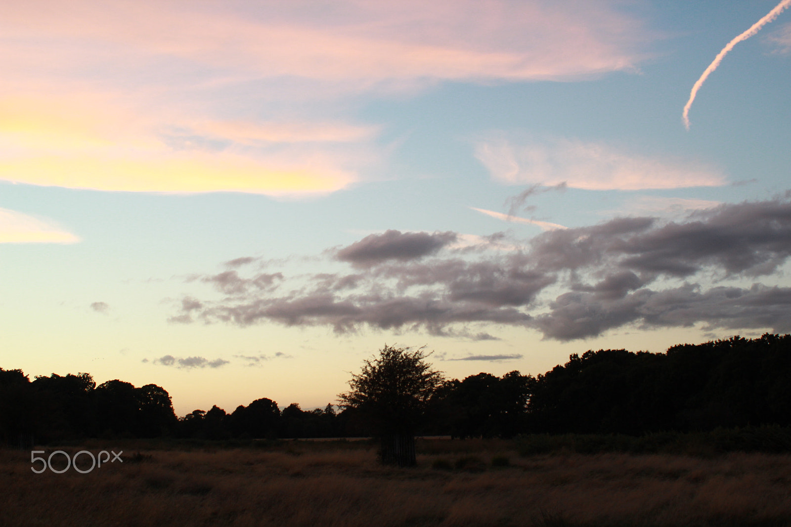 Canon EF 28-80mm f/3.5-5.6 sample photo. Richmond photography