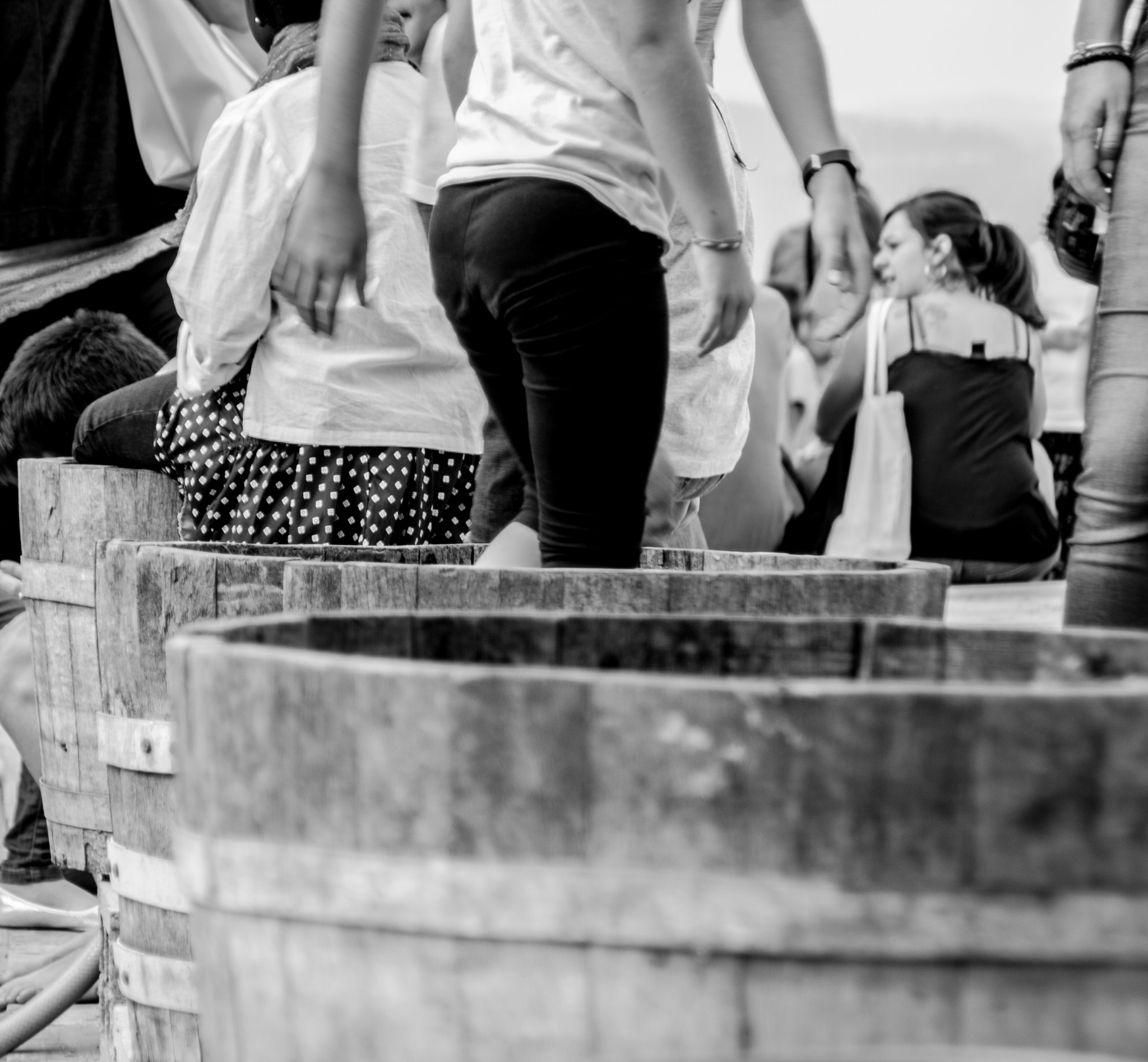 Canon EOS 1000D (EOS Digital Rebel XS / EOS Kiss F) sample photo. The grape harvesting photography