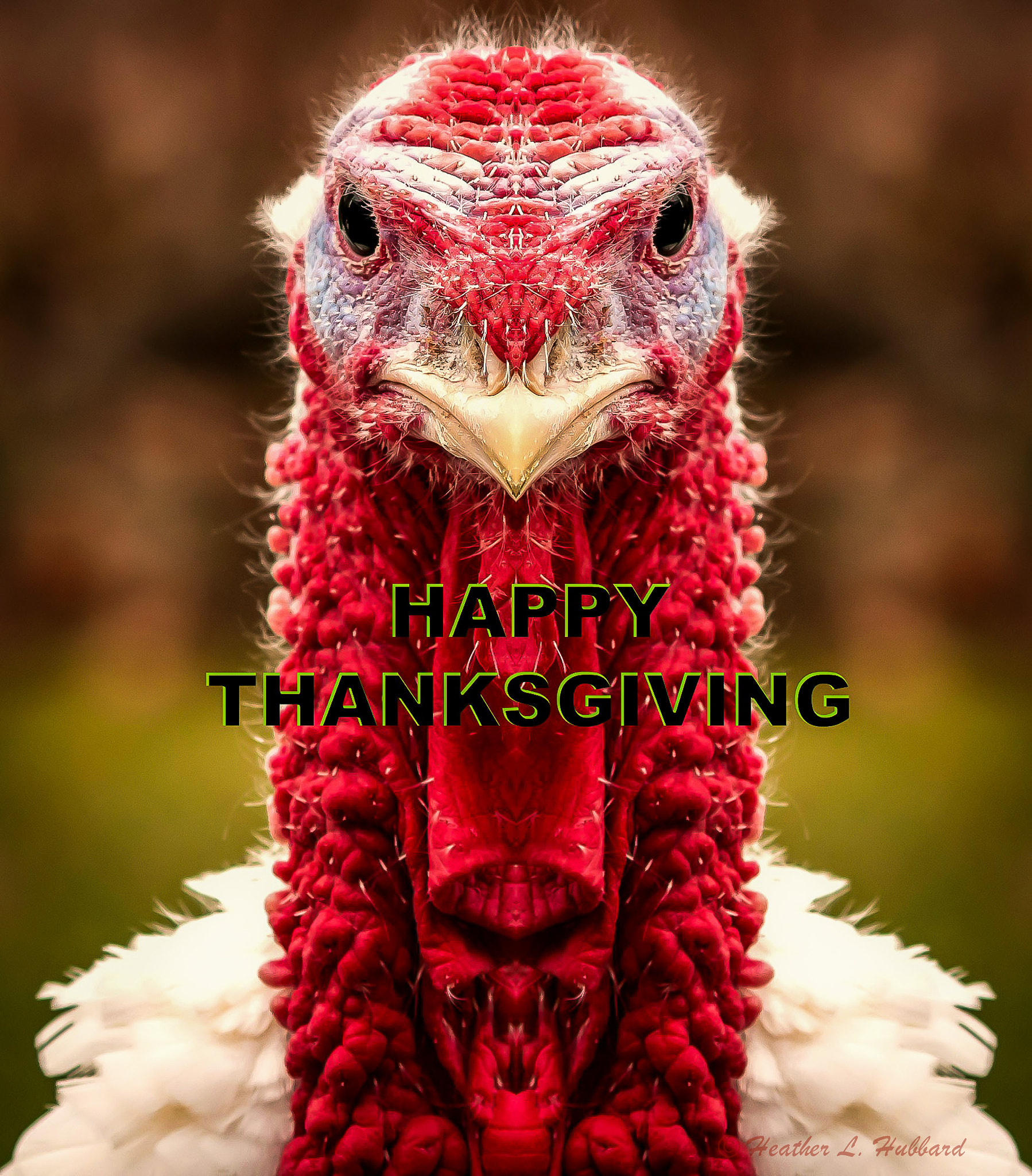 Sigma 70-300mm F4-5.6 APO DG Macro sample photo. Happy thanksgiving photography