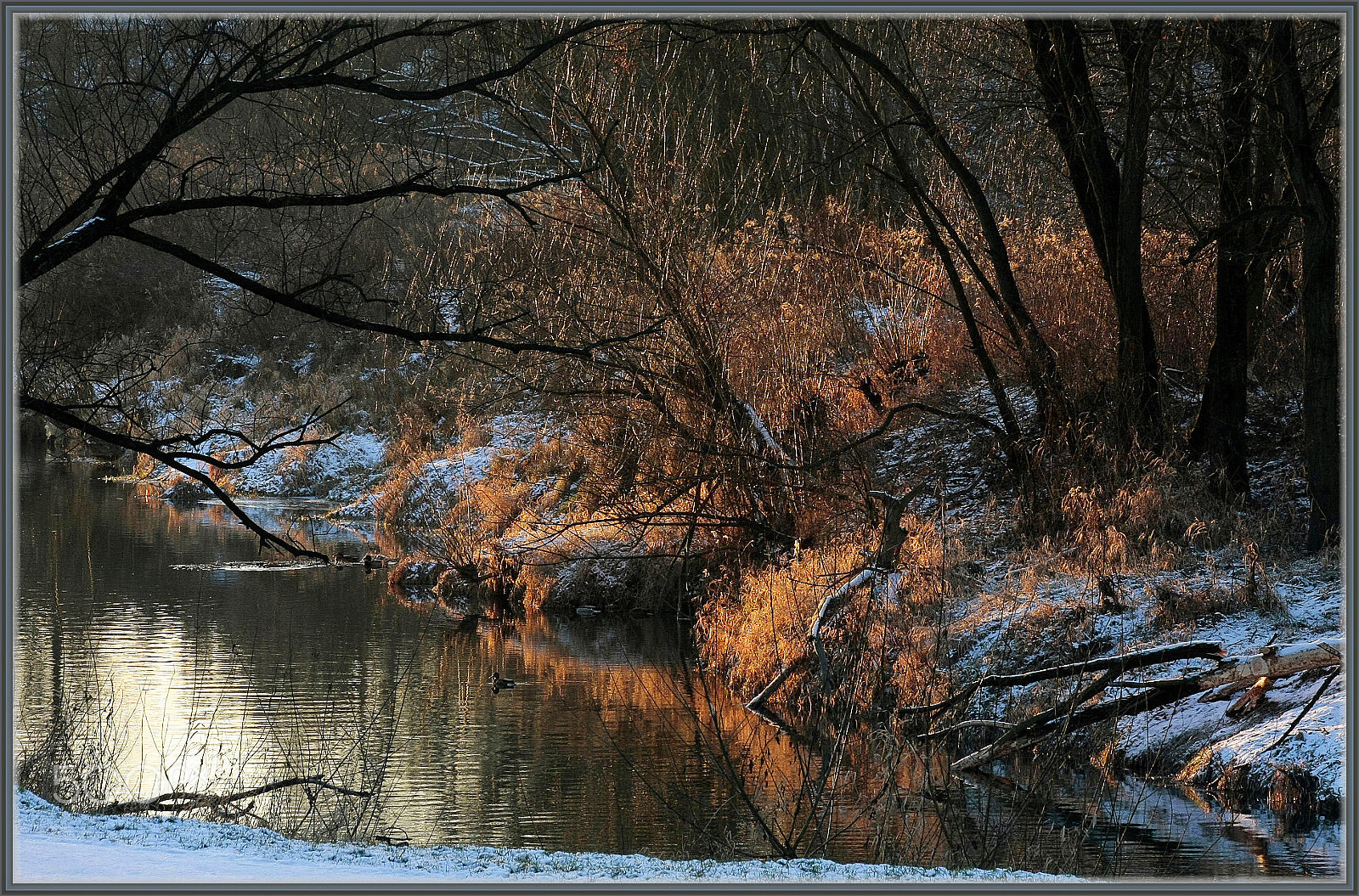 Canon EF 70-300mm F4-5.6 IS USM sample photo. Winter photography