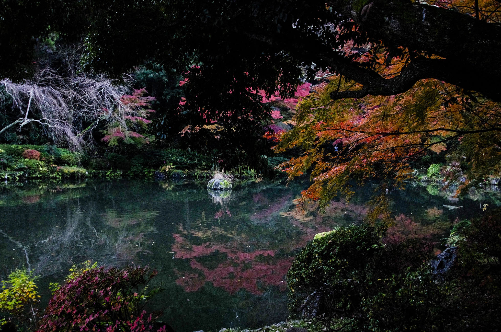 Pentax K-5 IIs sample photo. Silence moment photography