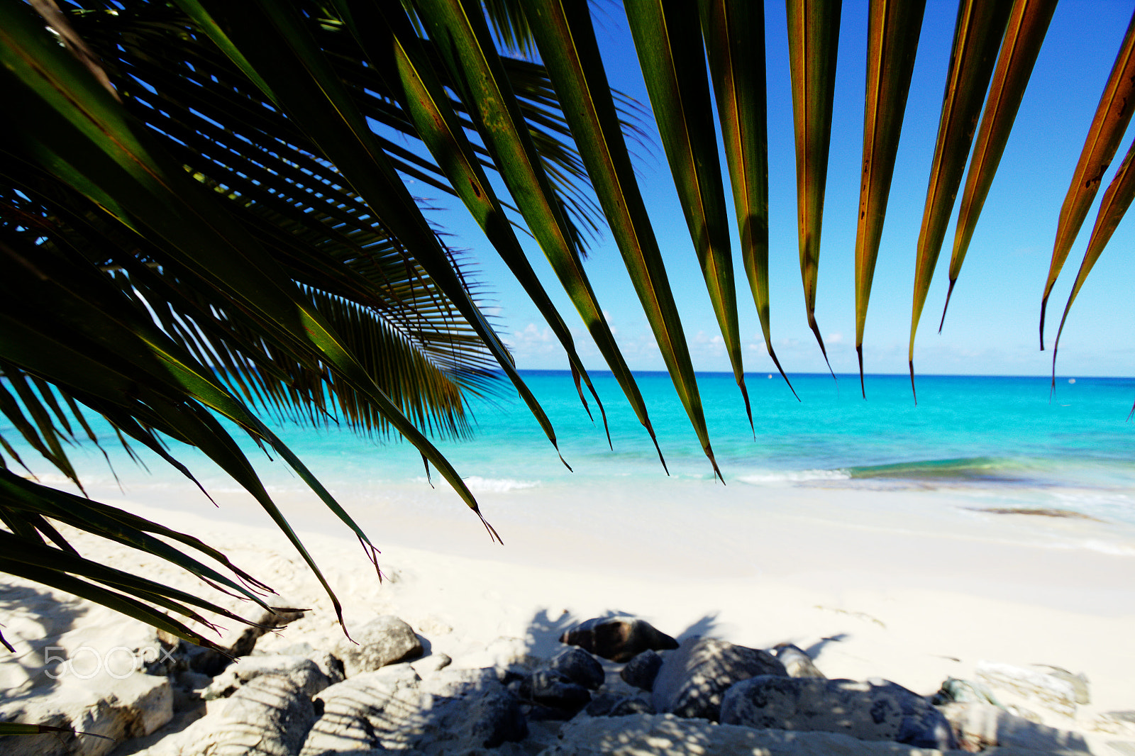 10.0 - 22.0 mm sample photo. Beach sint maarten photography