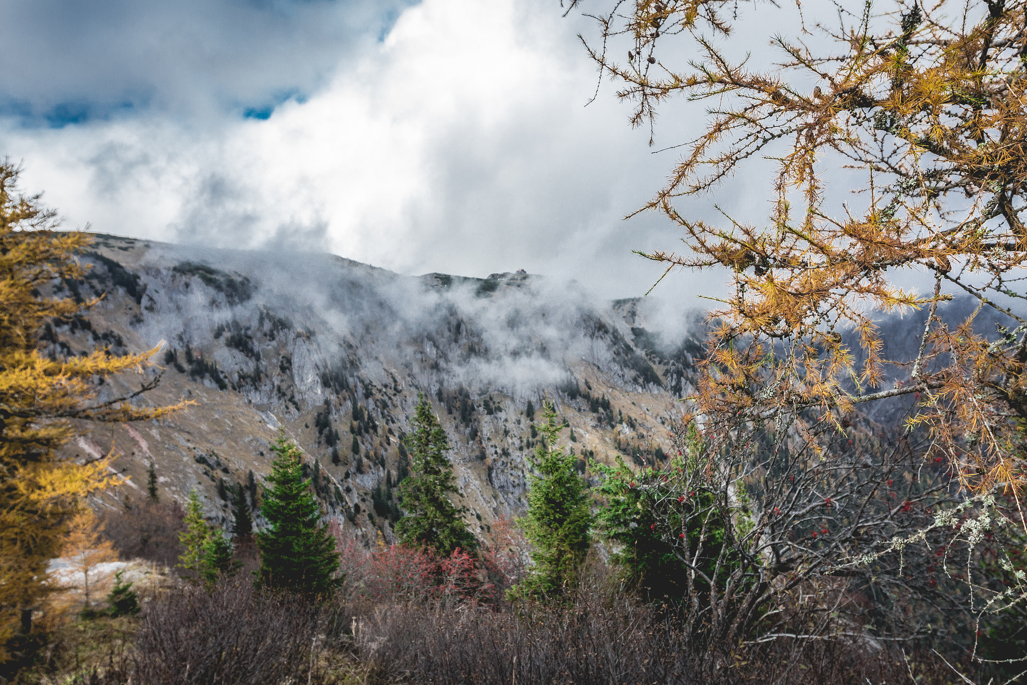 Canon EF 16-35mm F2.8L II USM sample photo. We live in a beautiful world. every day, photography