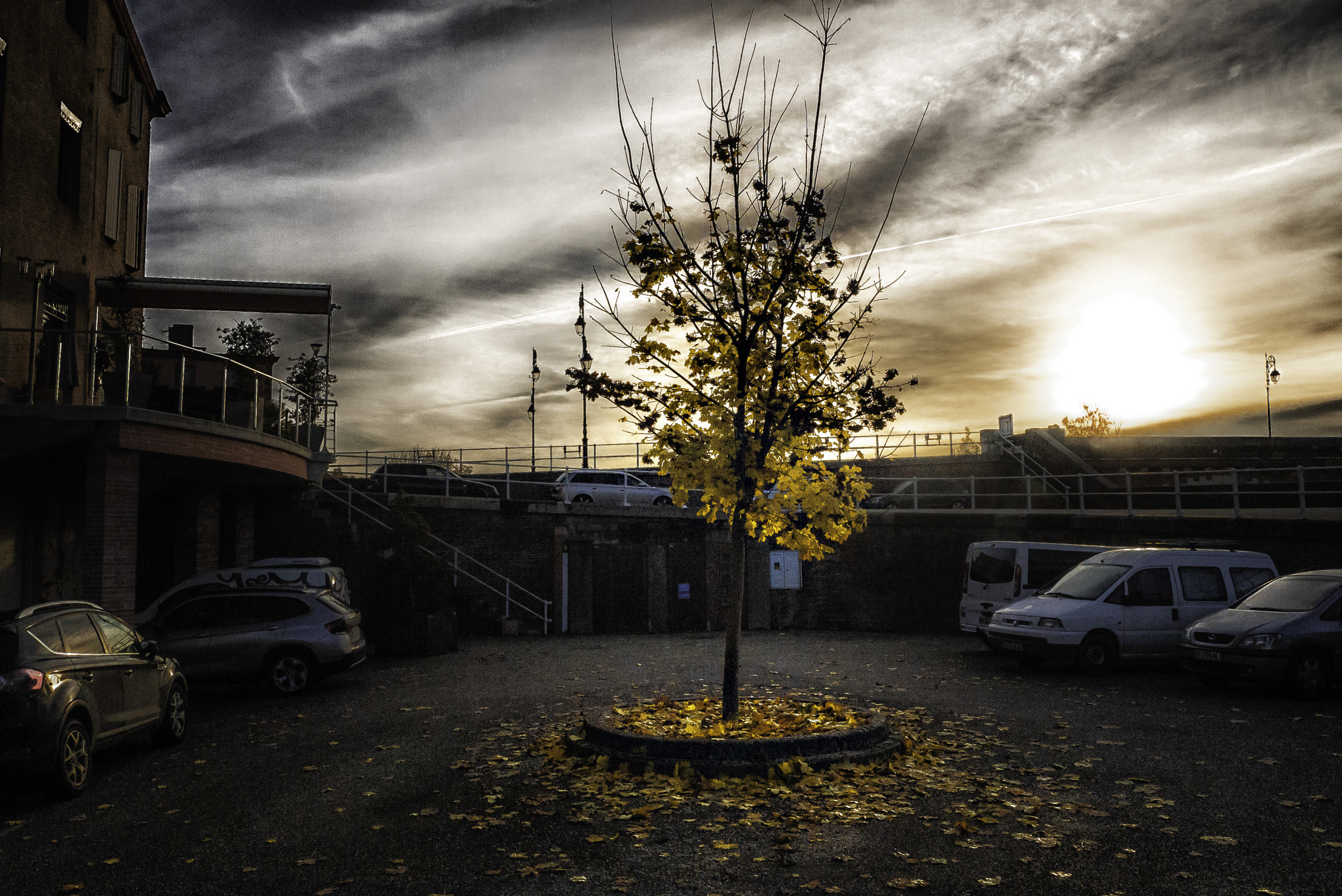Panasonic Lumix DMC-G1 sample photo. Autumn morning photography