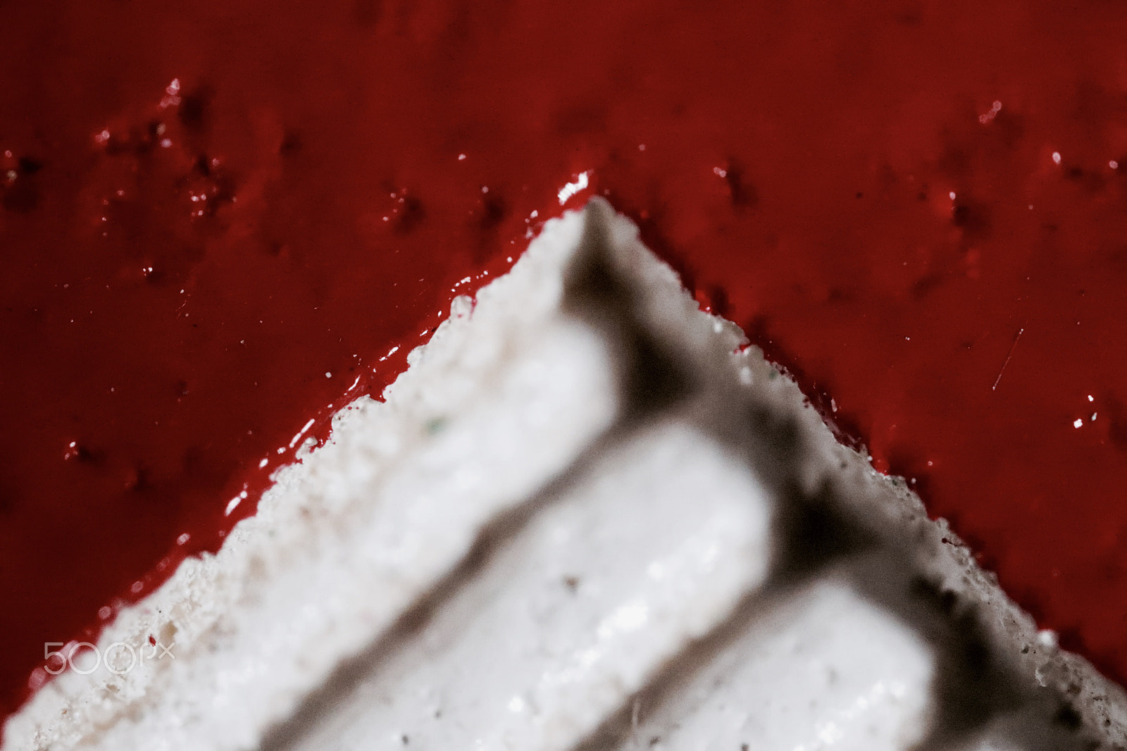 Canon MP-E 65mm F2.5 1-5x Macro Photo sample photo. Red and white photography