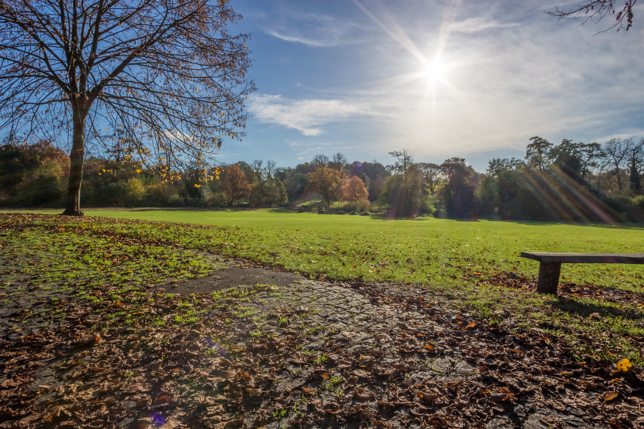 Canon EF-S 10-22mm F3.5-4.5 USM sample photo. Autumn in ipswich 2 photography