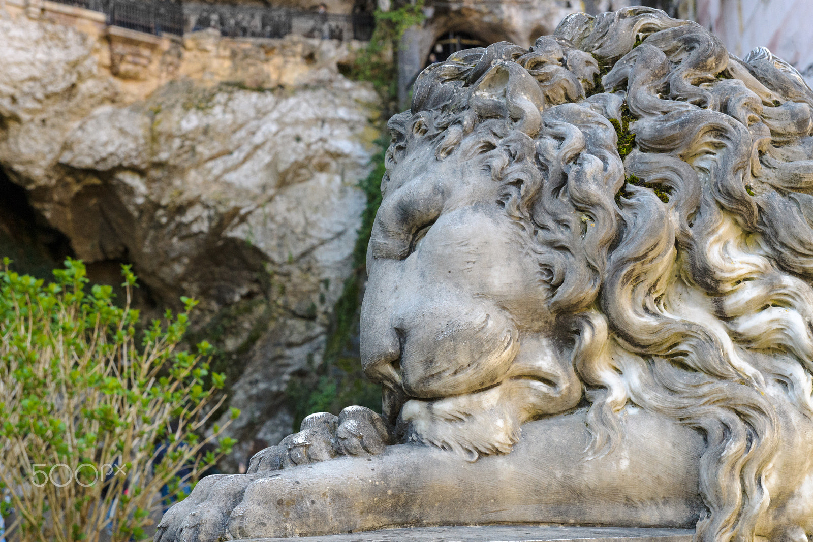 Sony SLT-A77 sample photo. Dream photography