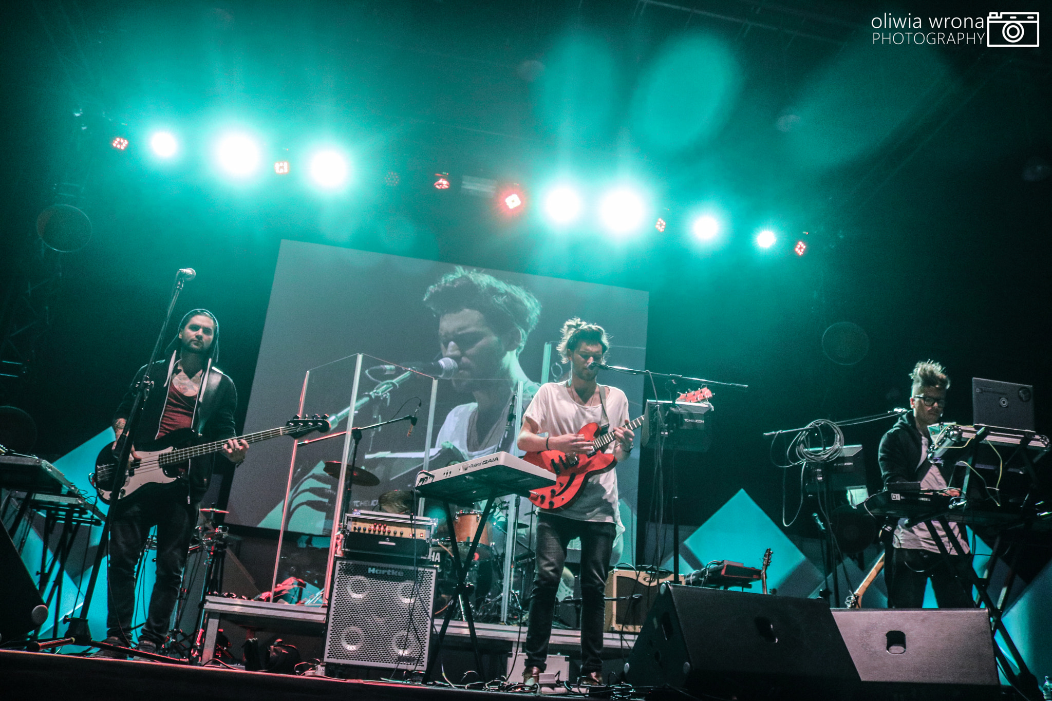 Canon EOS 760D (EOS Rebel T6s / EOS 8000D) sample photo. Bemy | hoop likes festival 2016 photography
