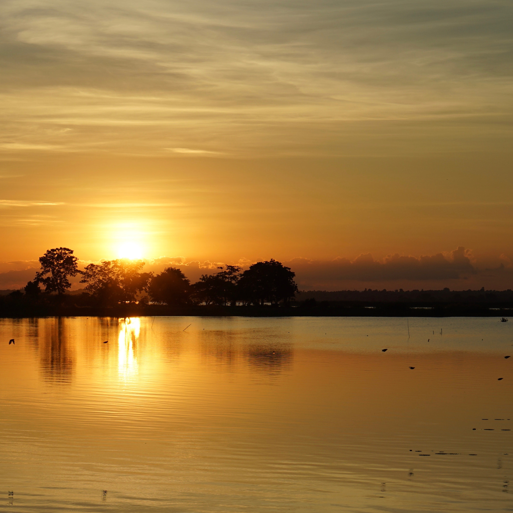 Sony a7 II sample photo. Sunset photography