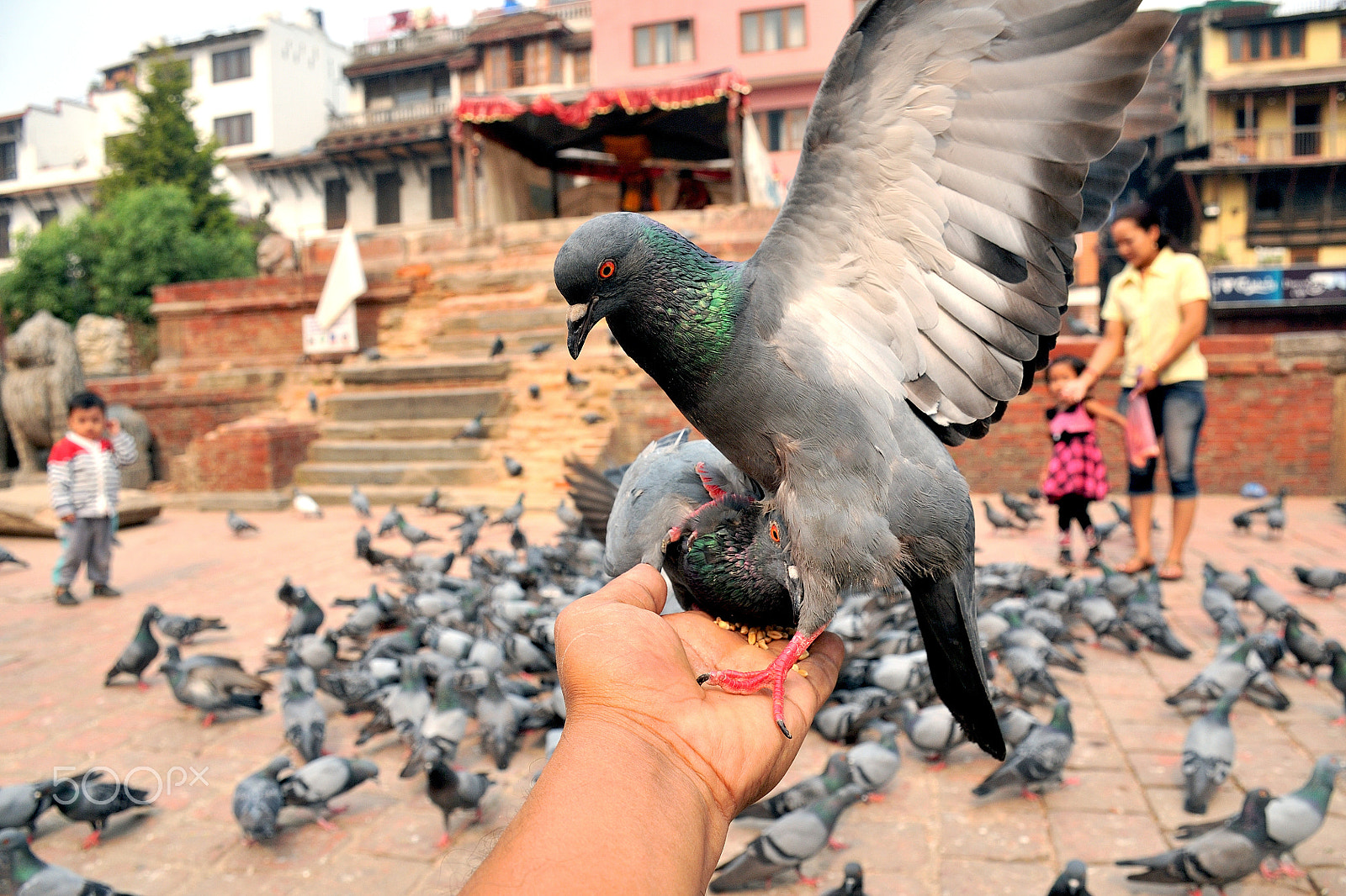 Nikon D300 sample photo. My hand photography