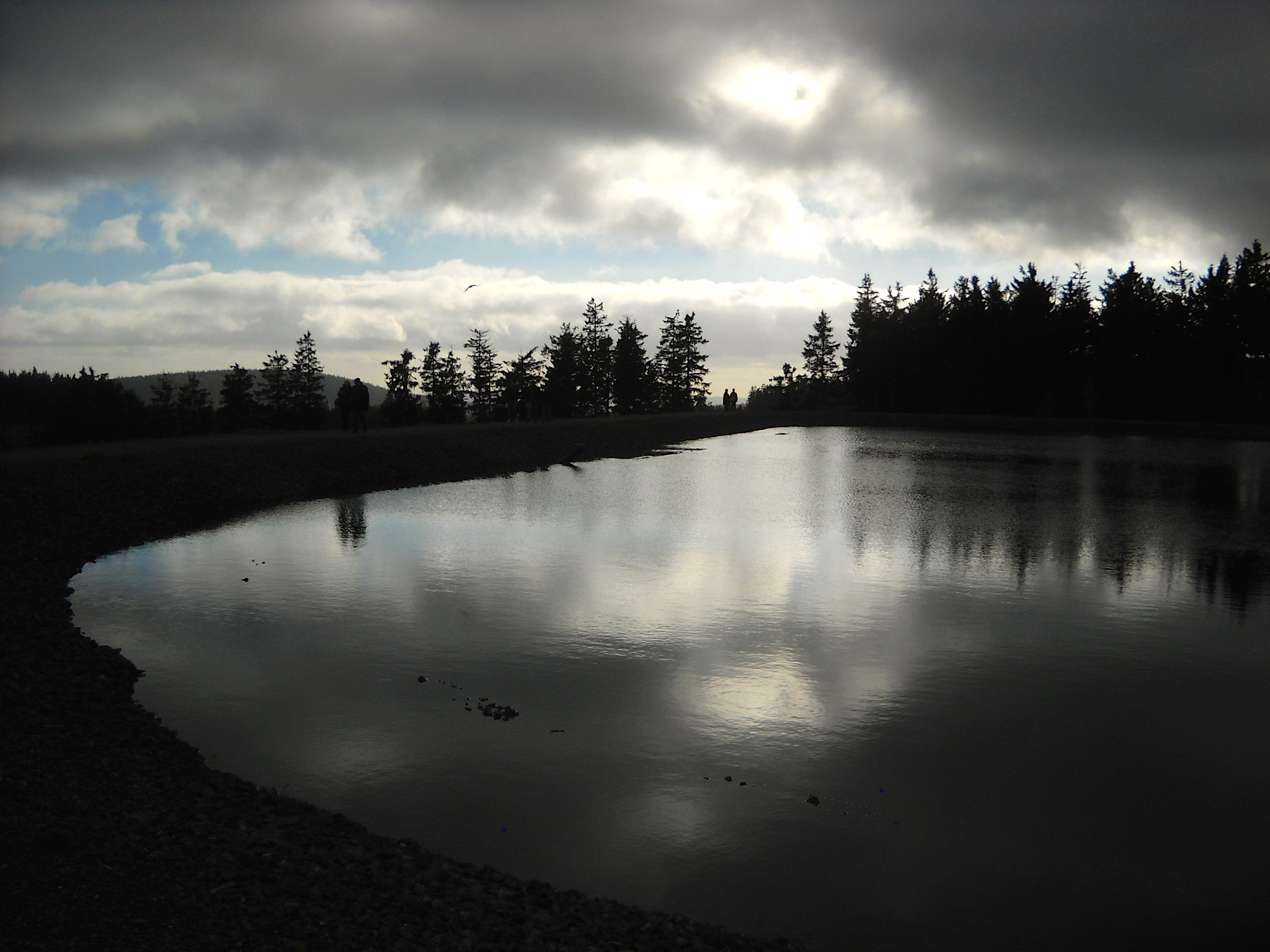 Nikon Coolpix L19 sample photo. Reservoir winterberg,germany photography