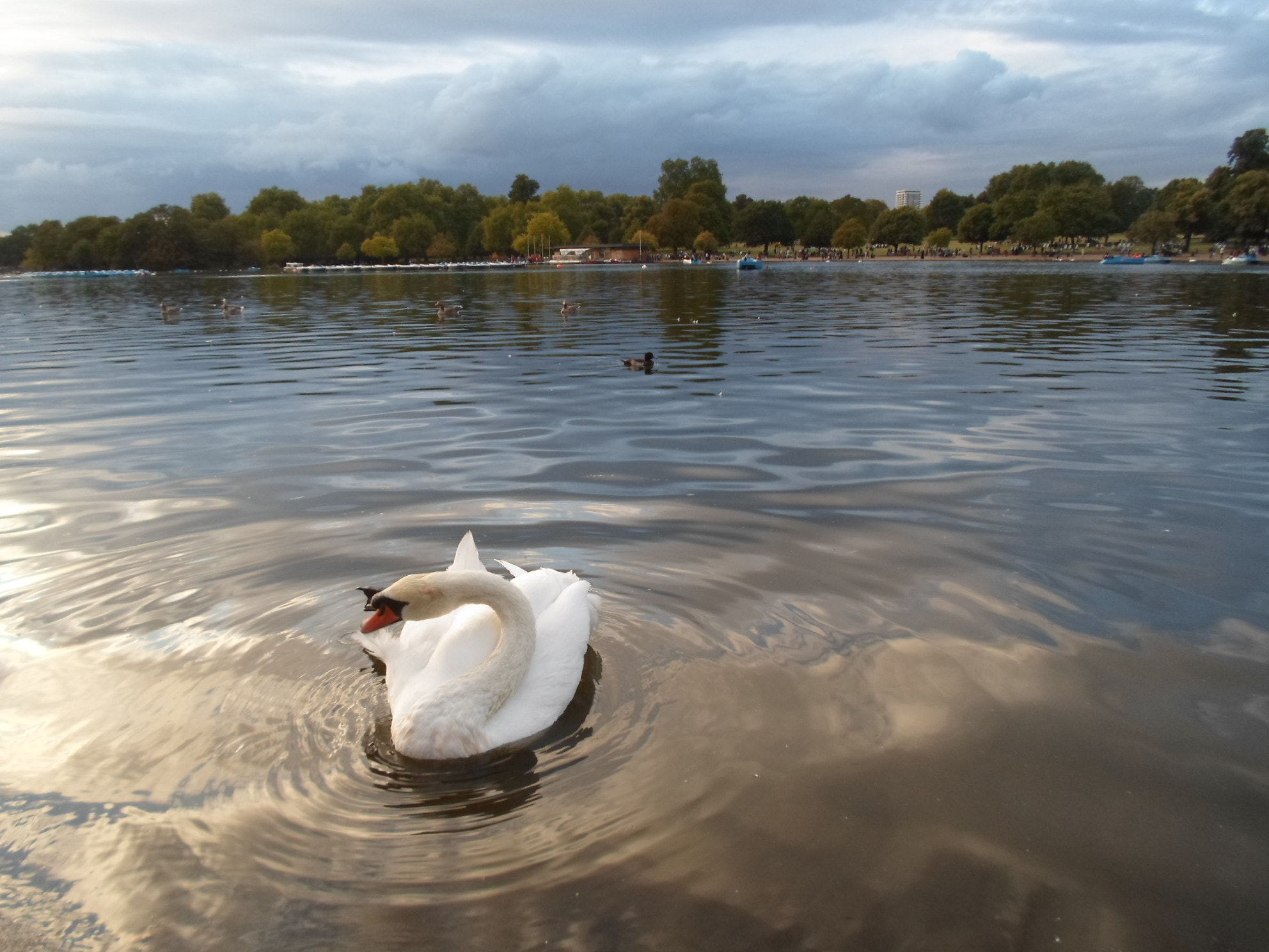 Samsung ST66 / ST68 sample photo. From london photography