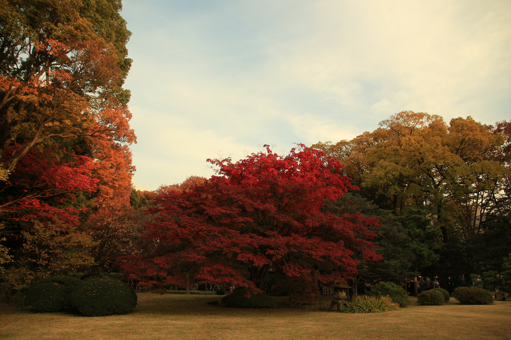 Canon EOS 650D (EOS Rebel T4i / EOS Kiss X6i) sample photo. Rikugien in japan photography