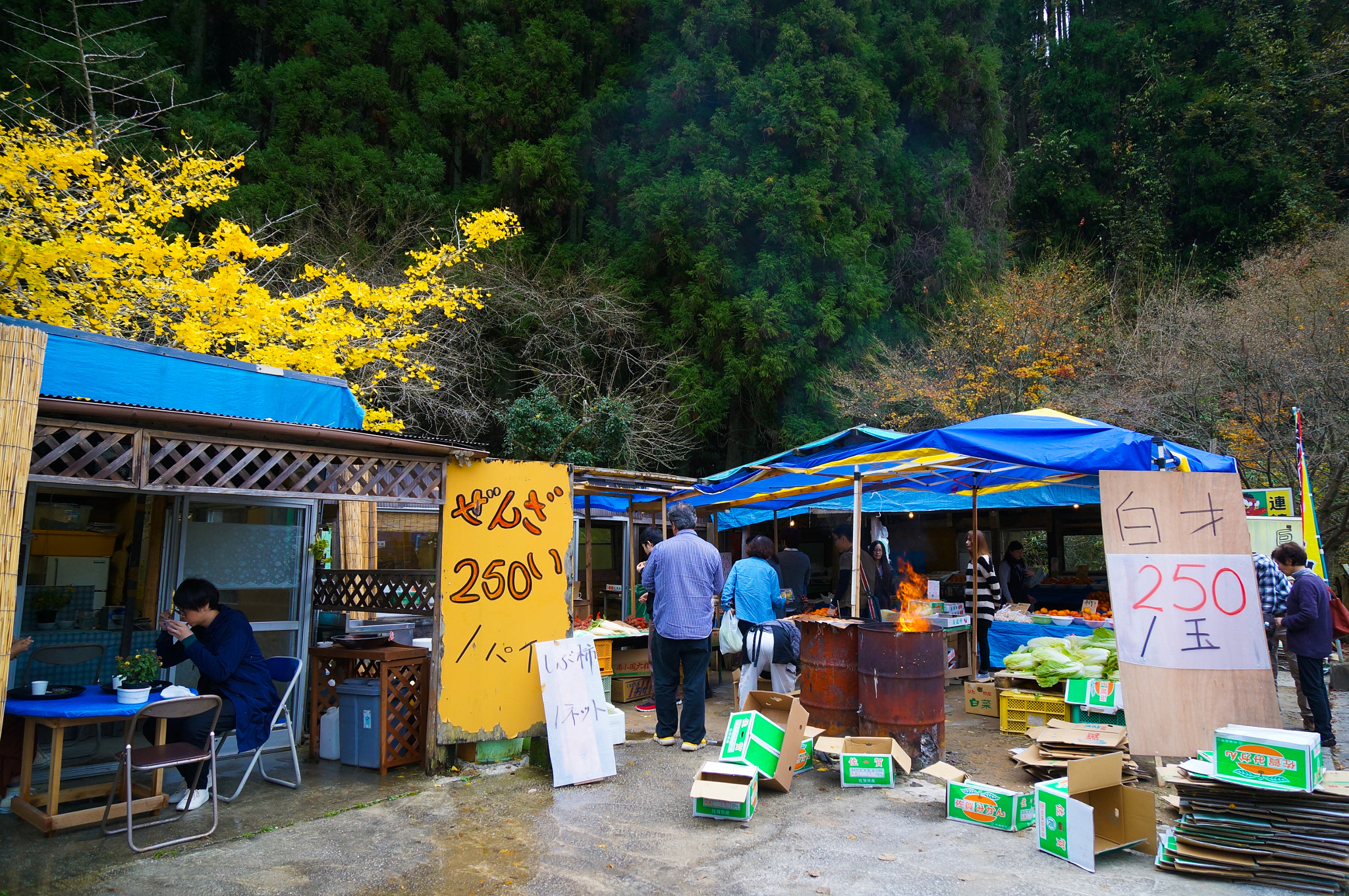 Sony Alpha NEX-5R + Sony Vario-Tessar T* E 16-70mm F4 ZA OSS sample photo. Autumn market photography