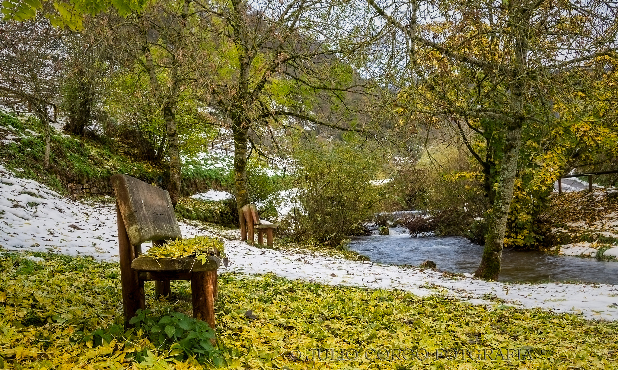 Sony Alpha DSLR-A580 + Tamron SP 24-70mm F2.8 Di VC USD sample photo. Autumn yellow photography