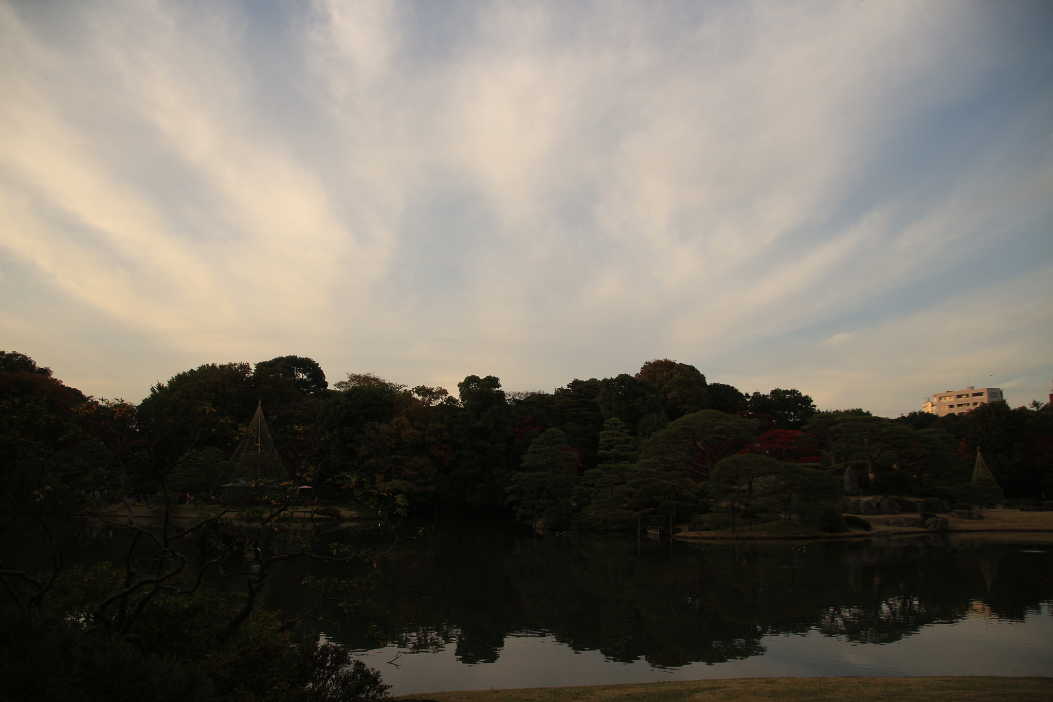 Canon EOS 650D (EOS Rebel T4i / EOS Kiss X6i) sample photo