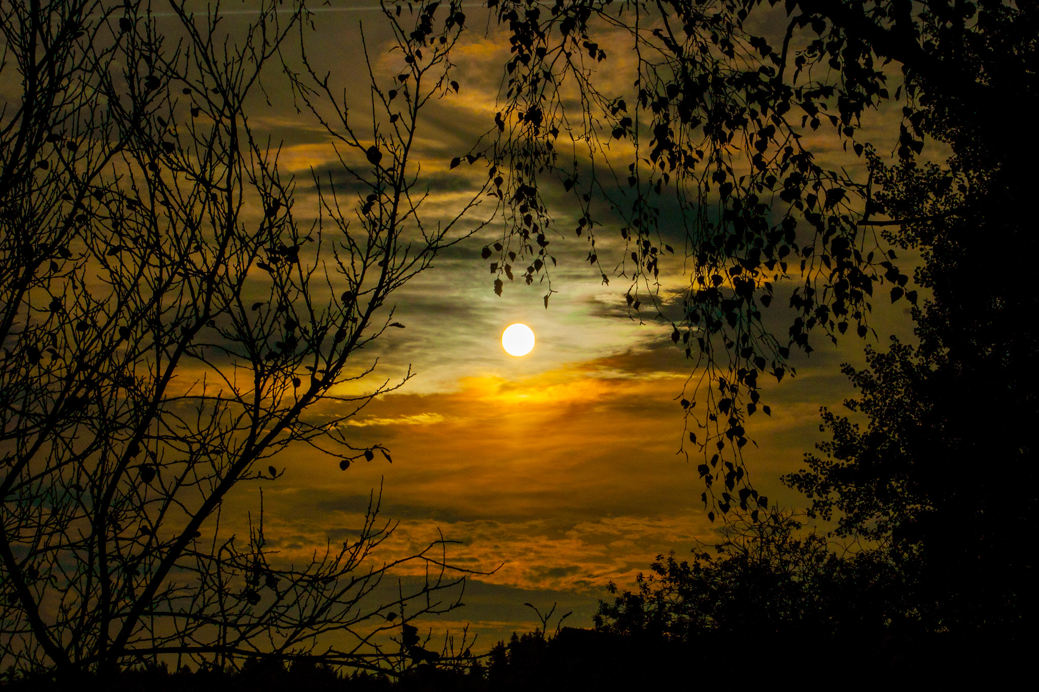 Minolta AF 28-80mm F3.5-5.6 II sample photo. Sonnenmeer photography