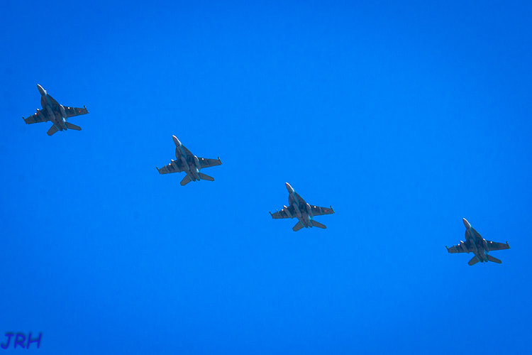 Sigma 150-500mm F5-6.3 DG OS HSM sample photo. Img photography
