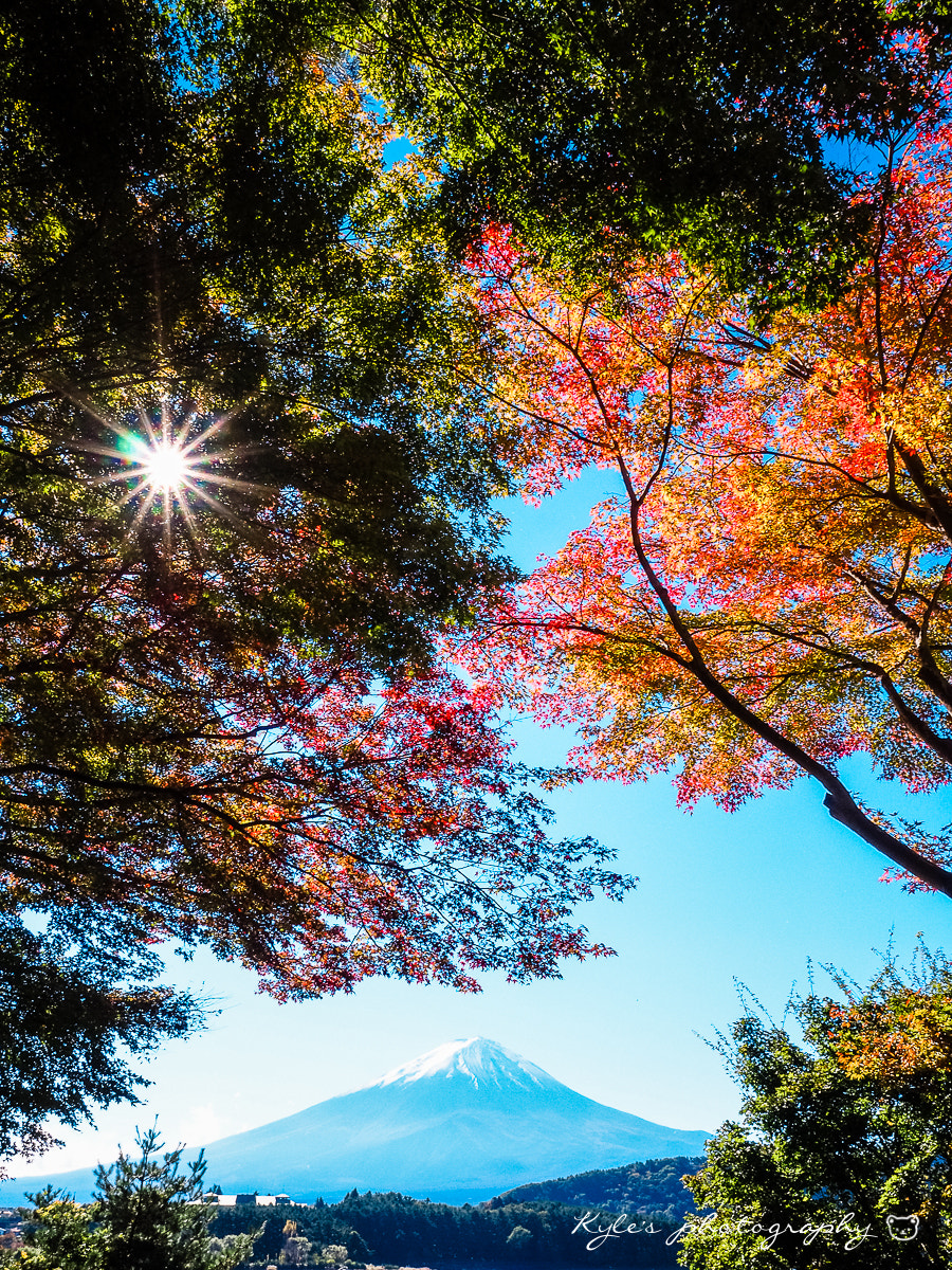 Olympus Zuiko Digital 14-54mm F2.8-3.5 II sample photo. 富士山 photography