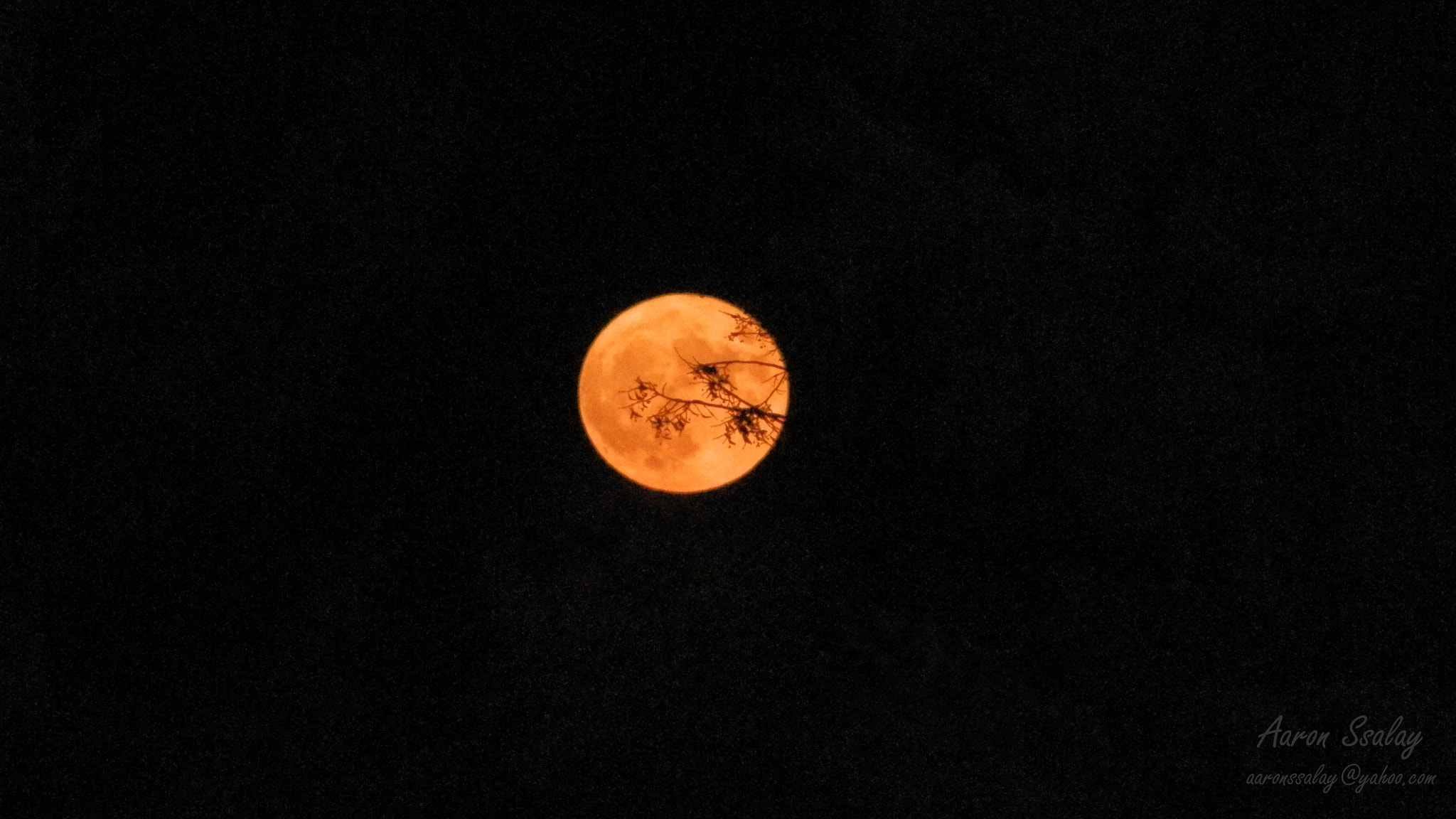 Olympus SP-620UZ sample photo. Supermoon photography