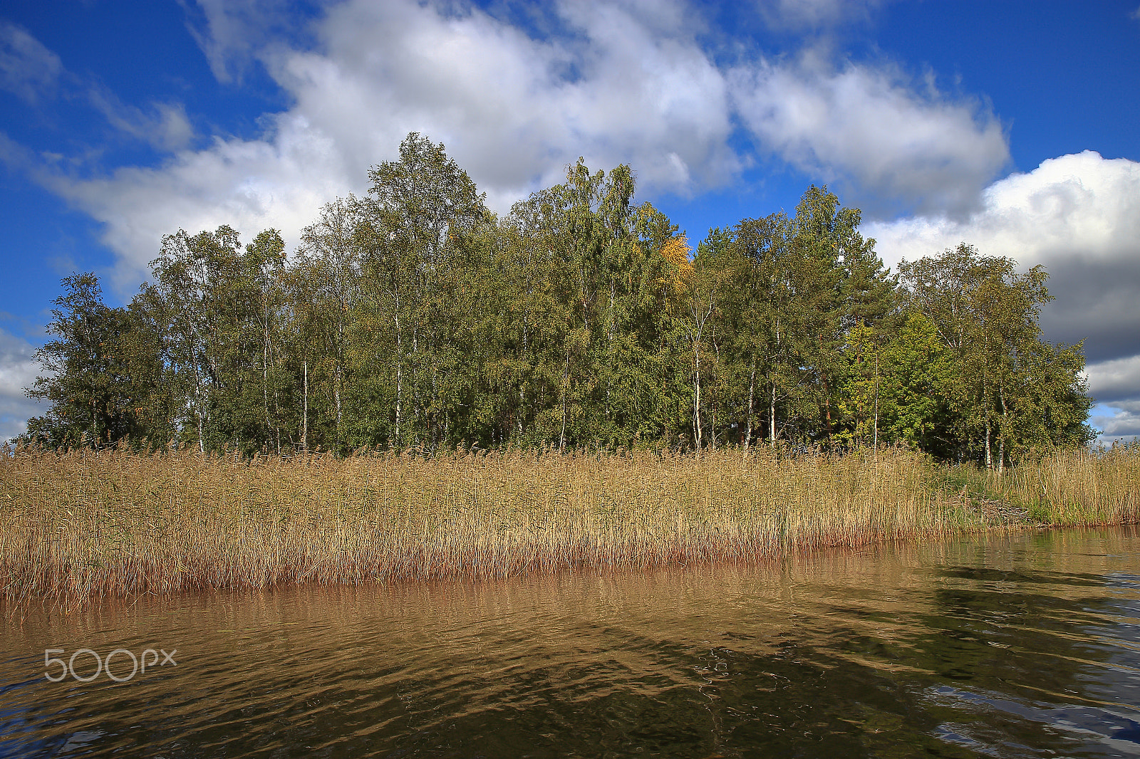 Canon EF 28-80mm f/2.8-4L sample photo. The small island on the lake photography