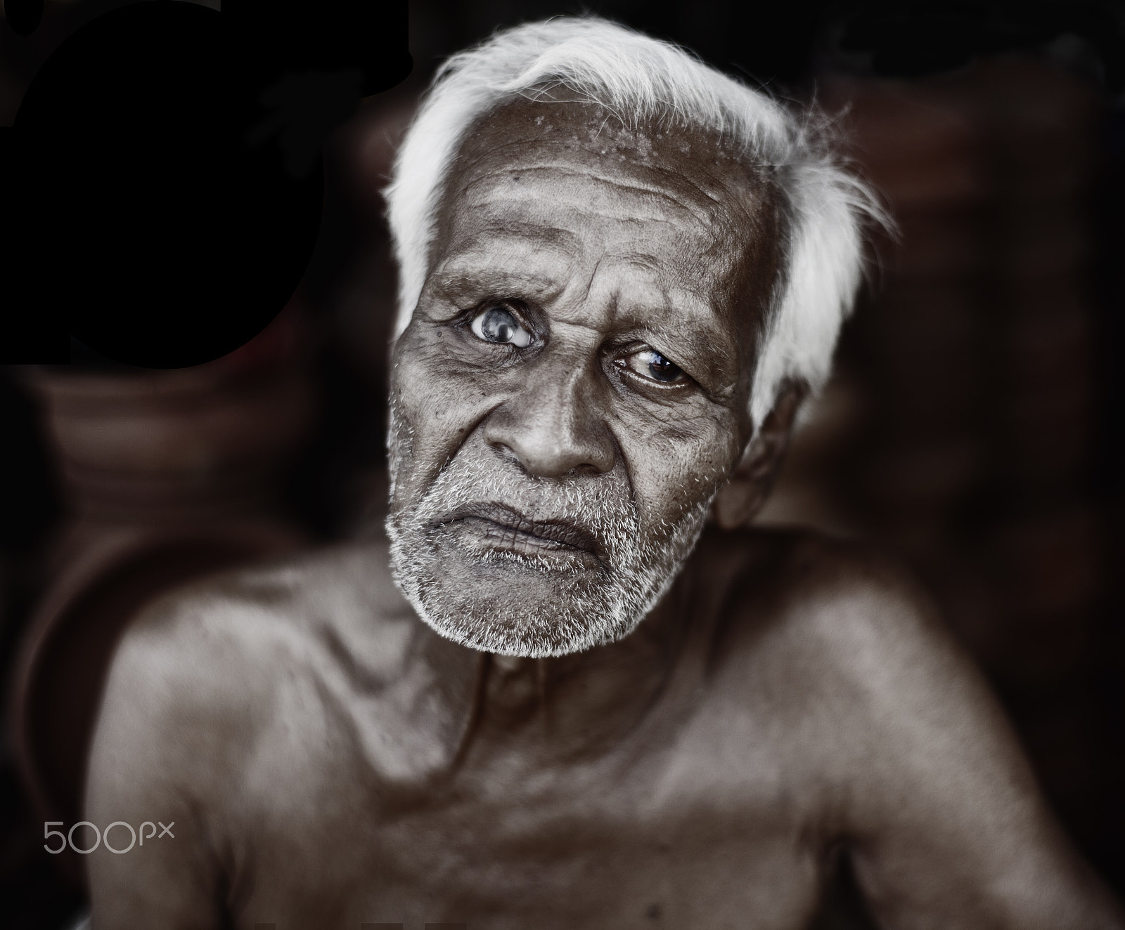 ZEISS Planar T* 50mm F1.4 sample photo. Clay craftsman photography