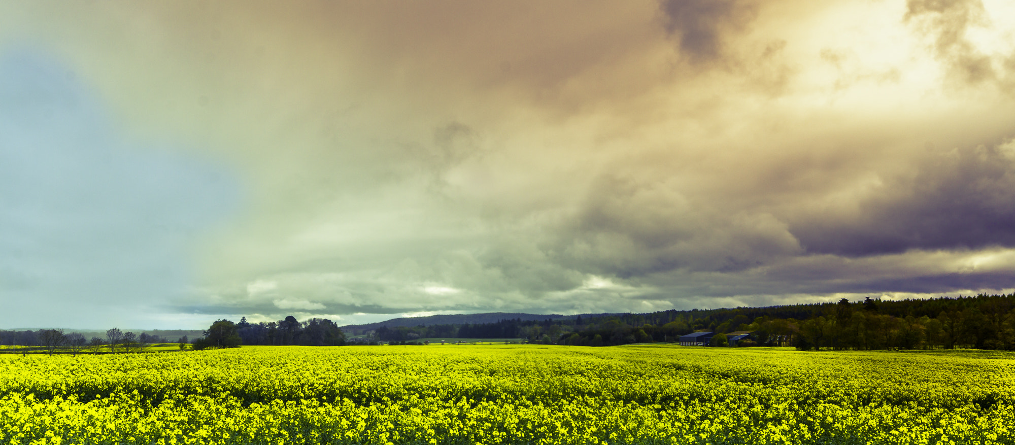 Sony SLT-A58 sample photo. Slecht weer photography