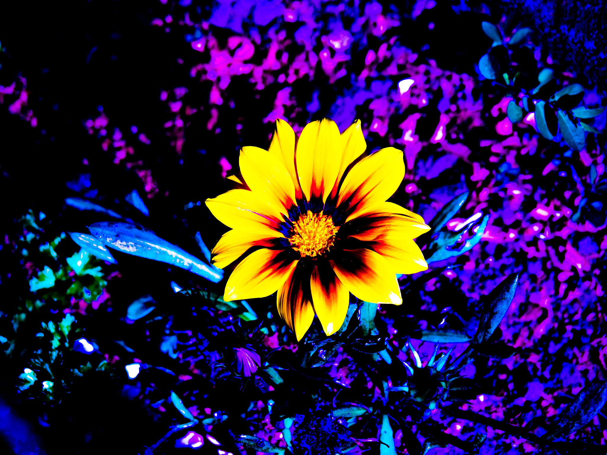 Olympus OM-D E-M10 sample photo. Light of garden photography