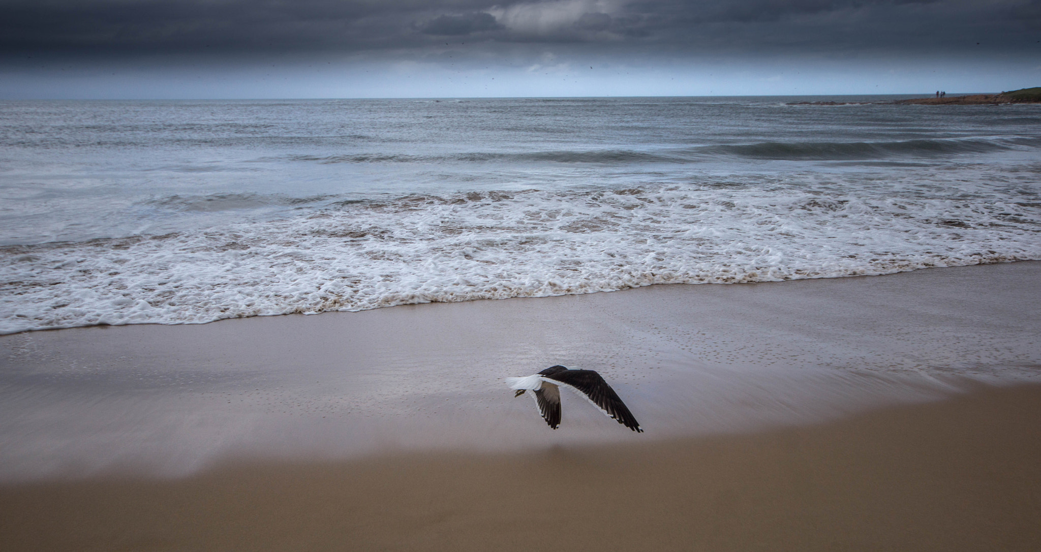 Sony SLT-A77 + Sigma AF 10-20mm F4-5.6 EX DC sample photo. Edit photography