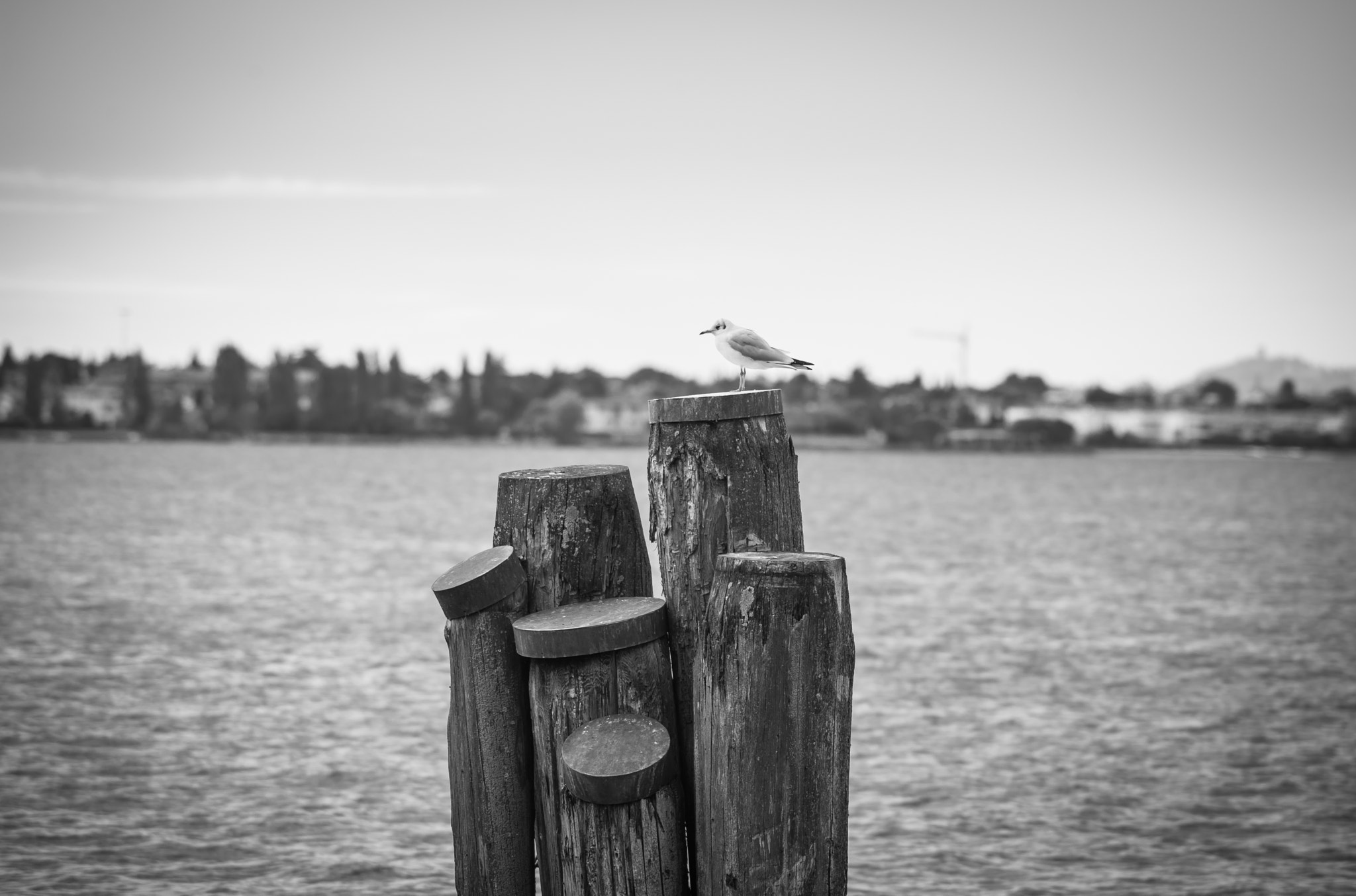 Nikon D600 sample photo. Garda lake- north italy photography