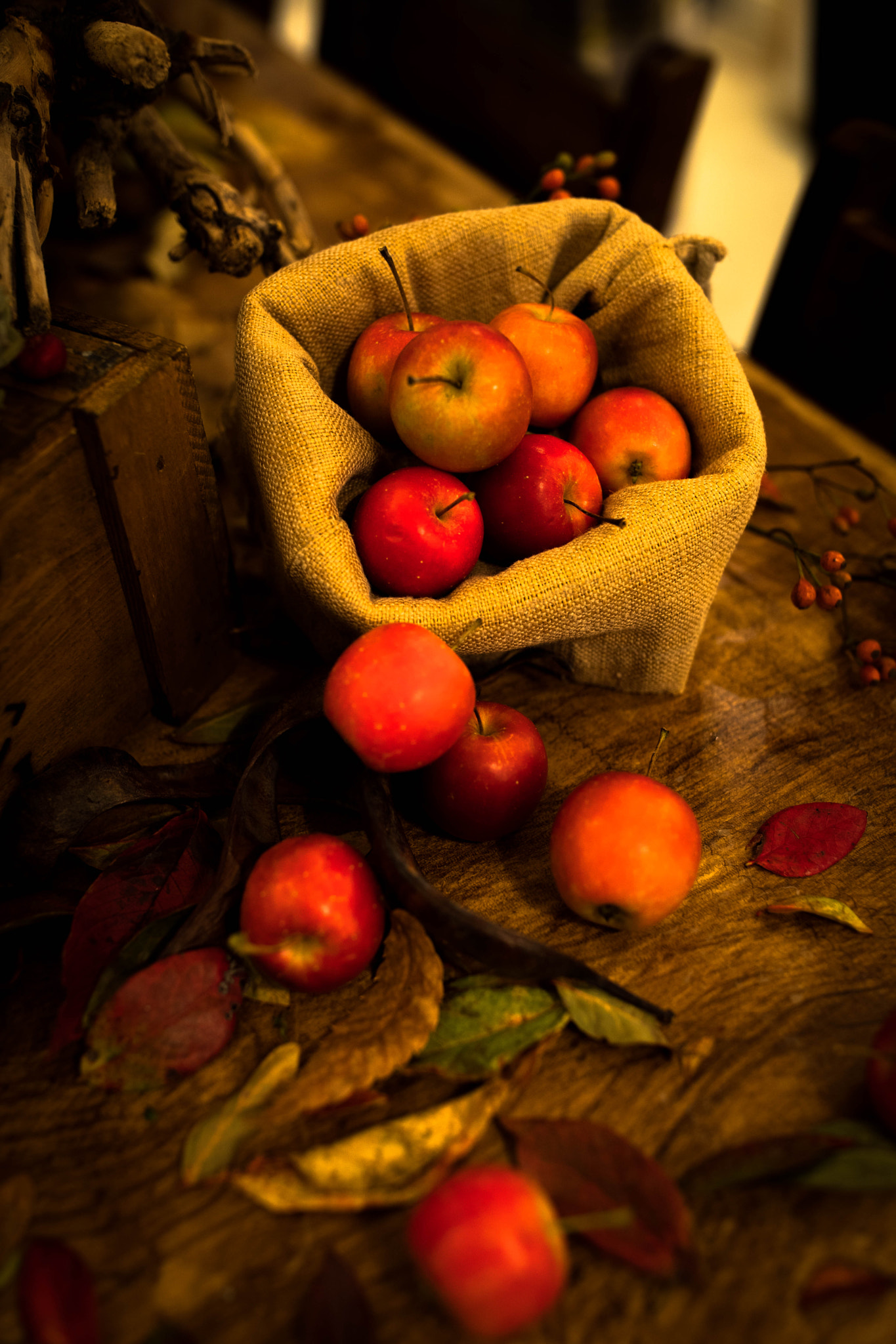 Canon EF 35mm F1.4L II USM sample photo. 「溢れ堕ちる」 photography