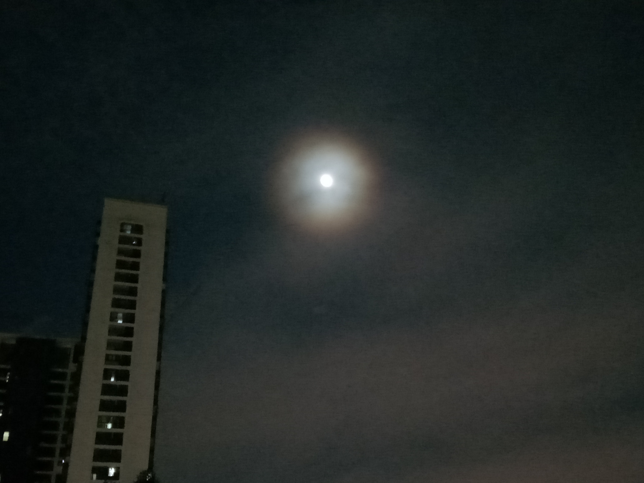 OPPO A37M sample photo