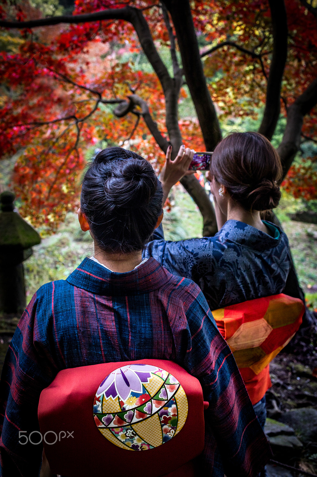 Canon EF 40mm F2.8 STM sample photo. Autumn in the park photography