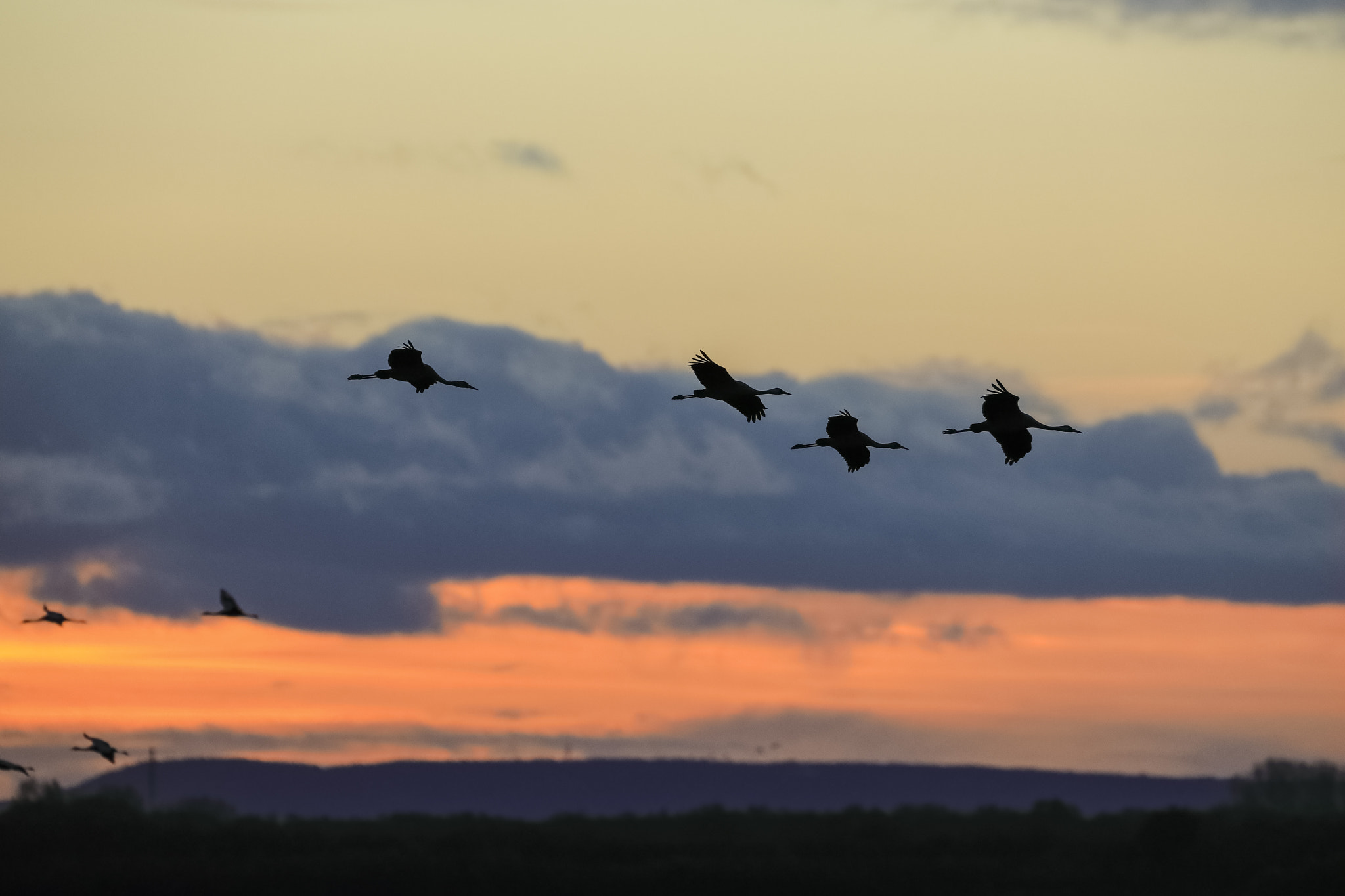 Canon EF 300mm F2.8L IS II USM sample photo. Into the last light photography