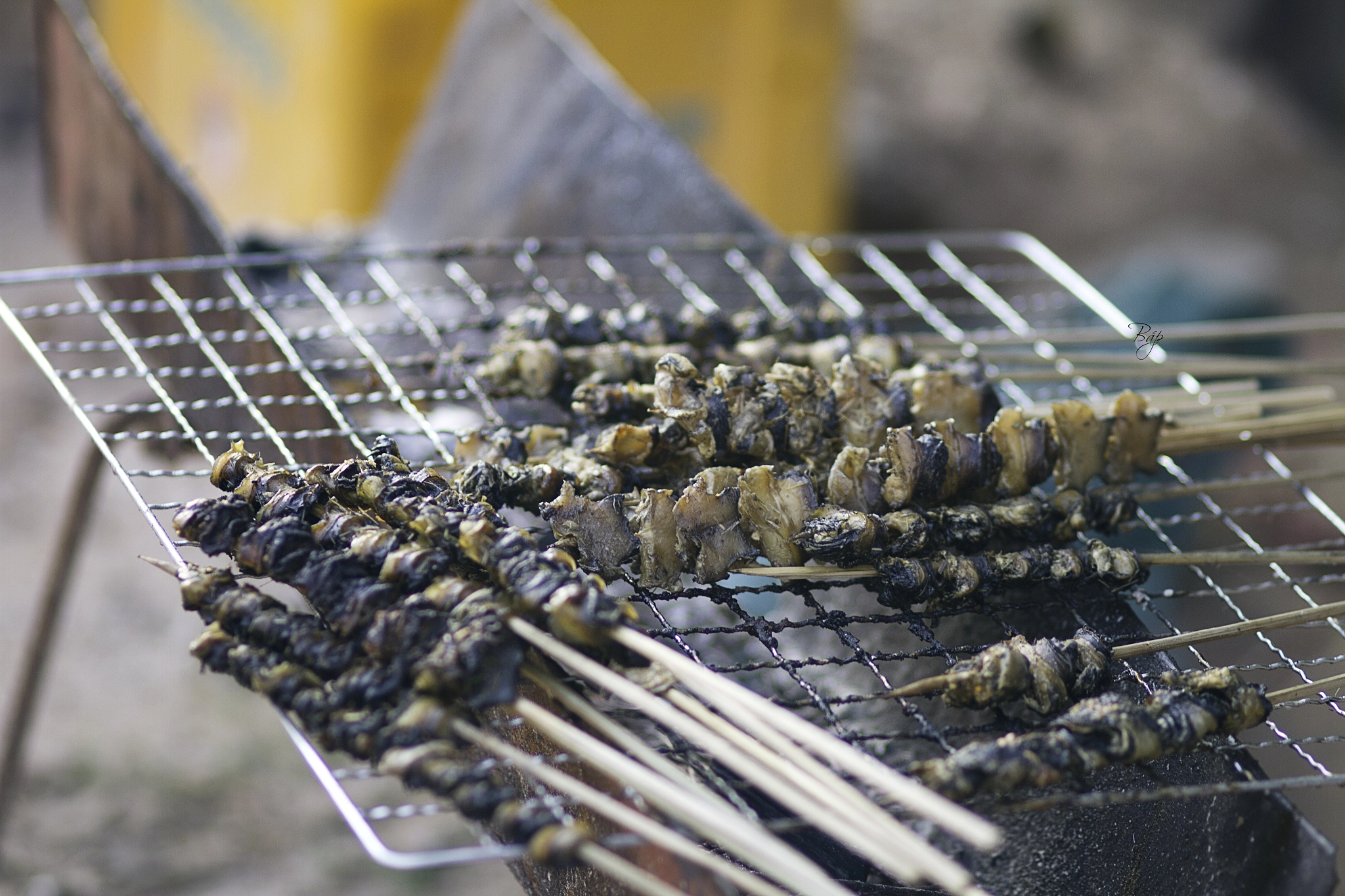 Canon EF 100mm F2.0 USM sample photo. Snail skewer photography